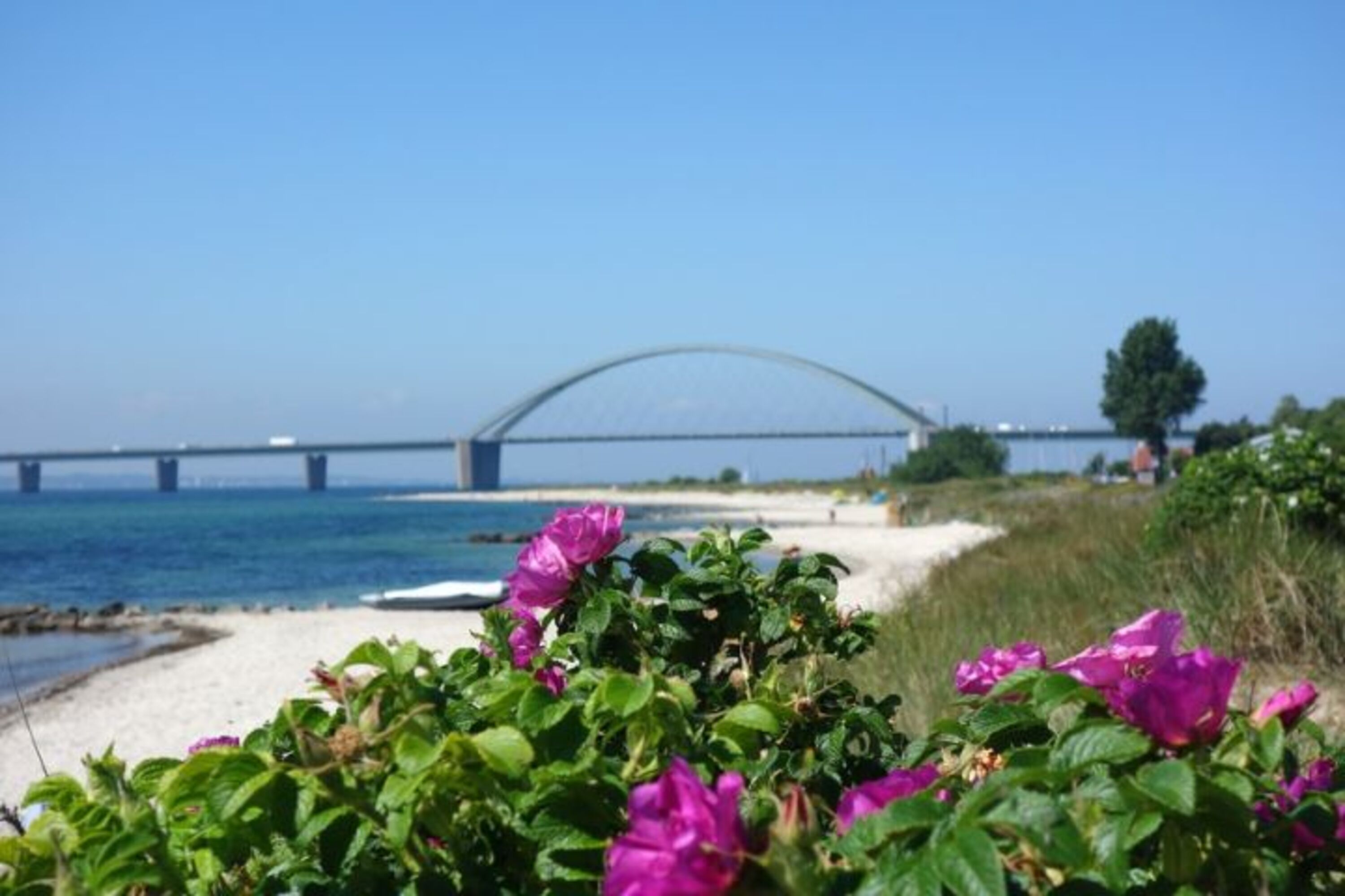 Strand im Sommer