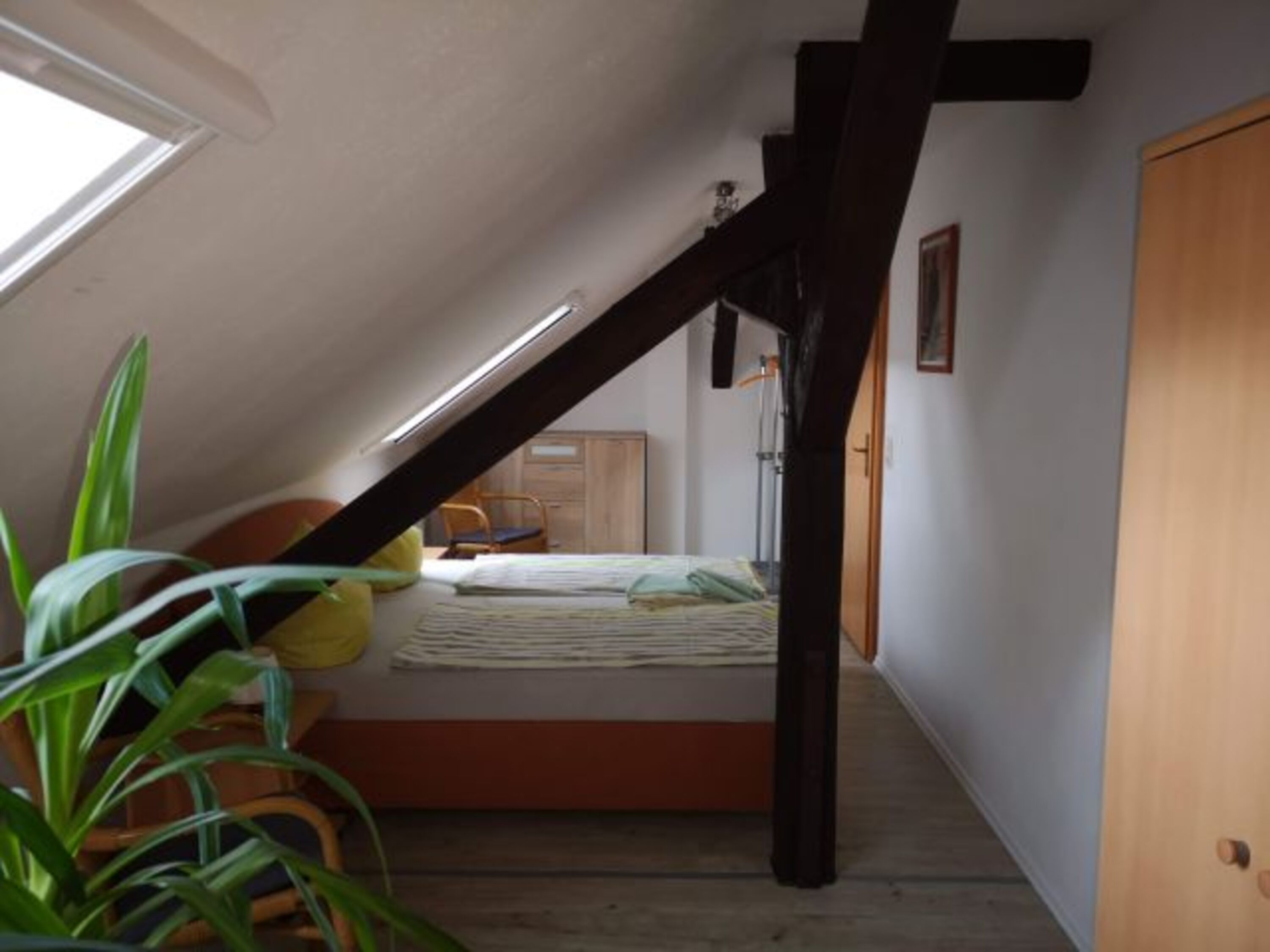 Bild 19