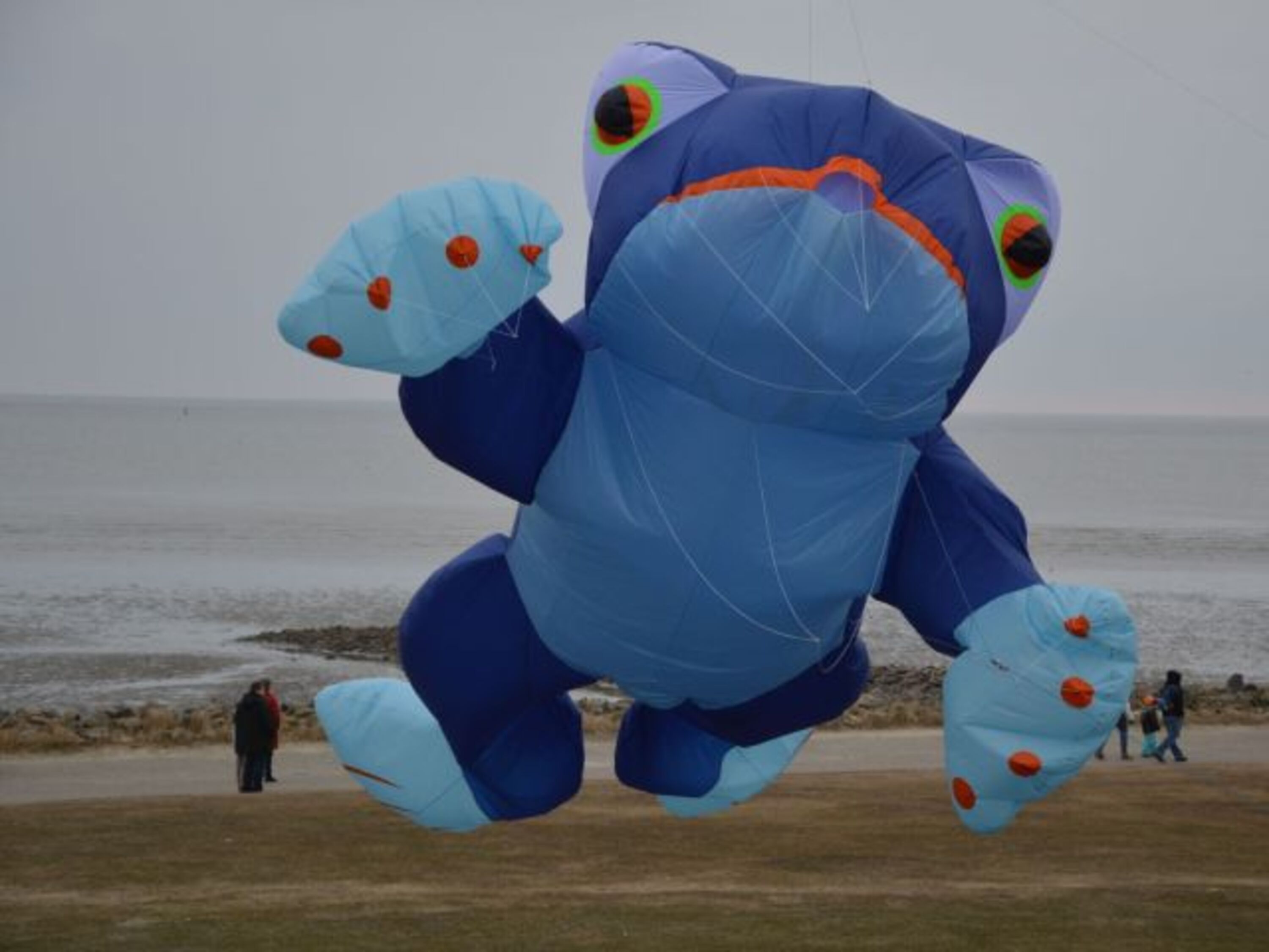 Drachenfest in der Lagune
