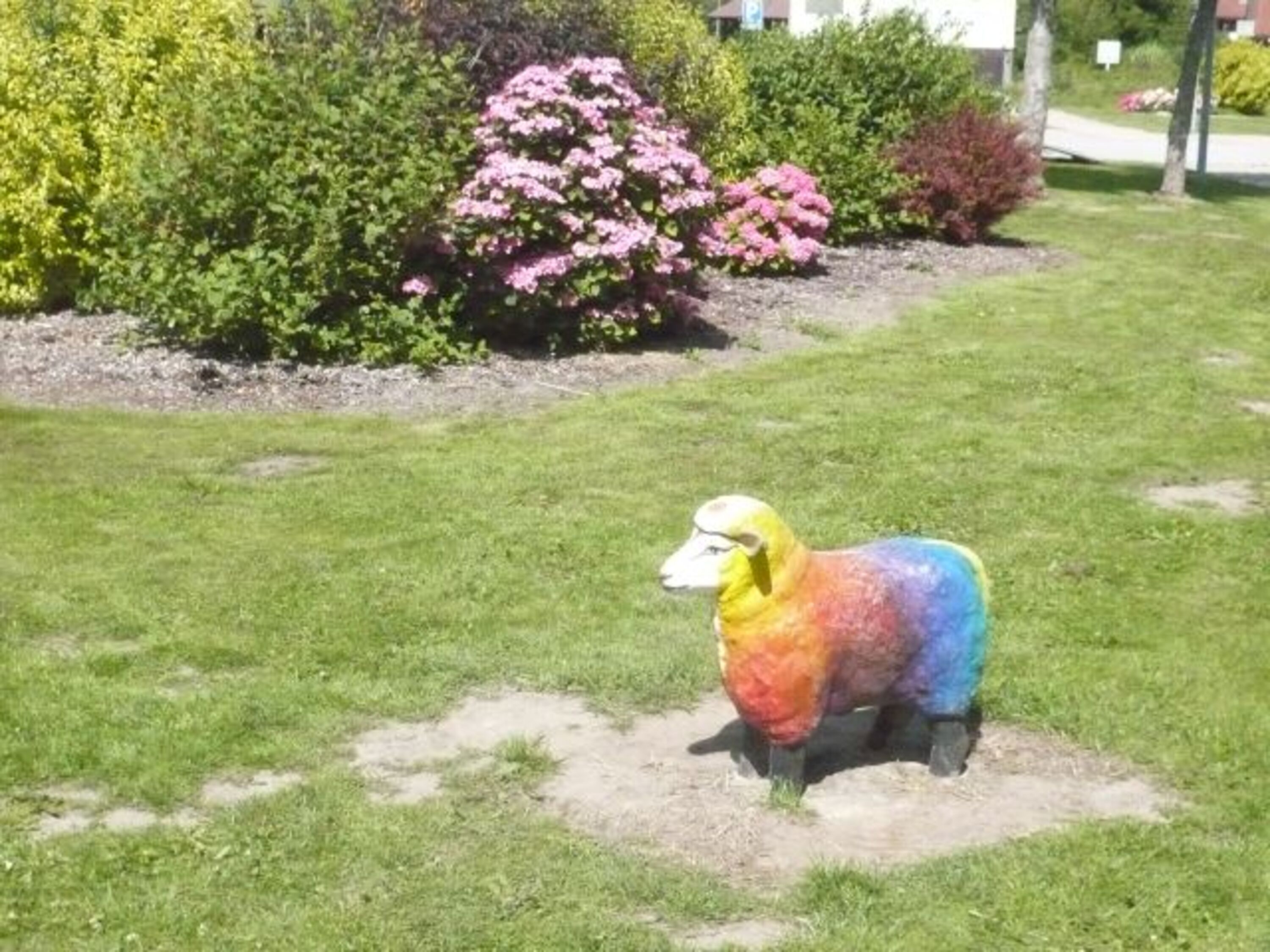 Bunte Schafe im Park