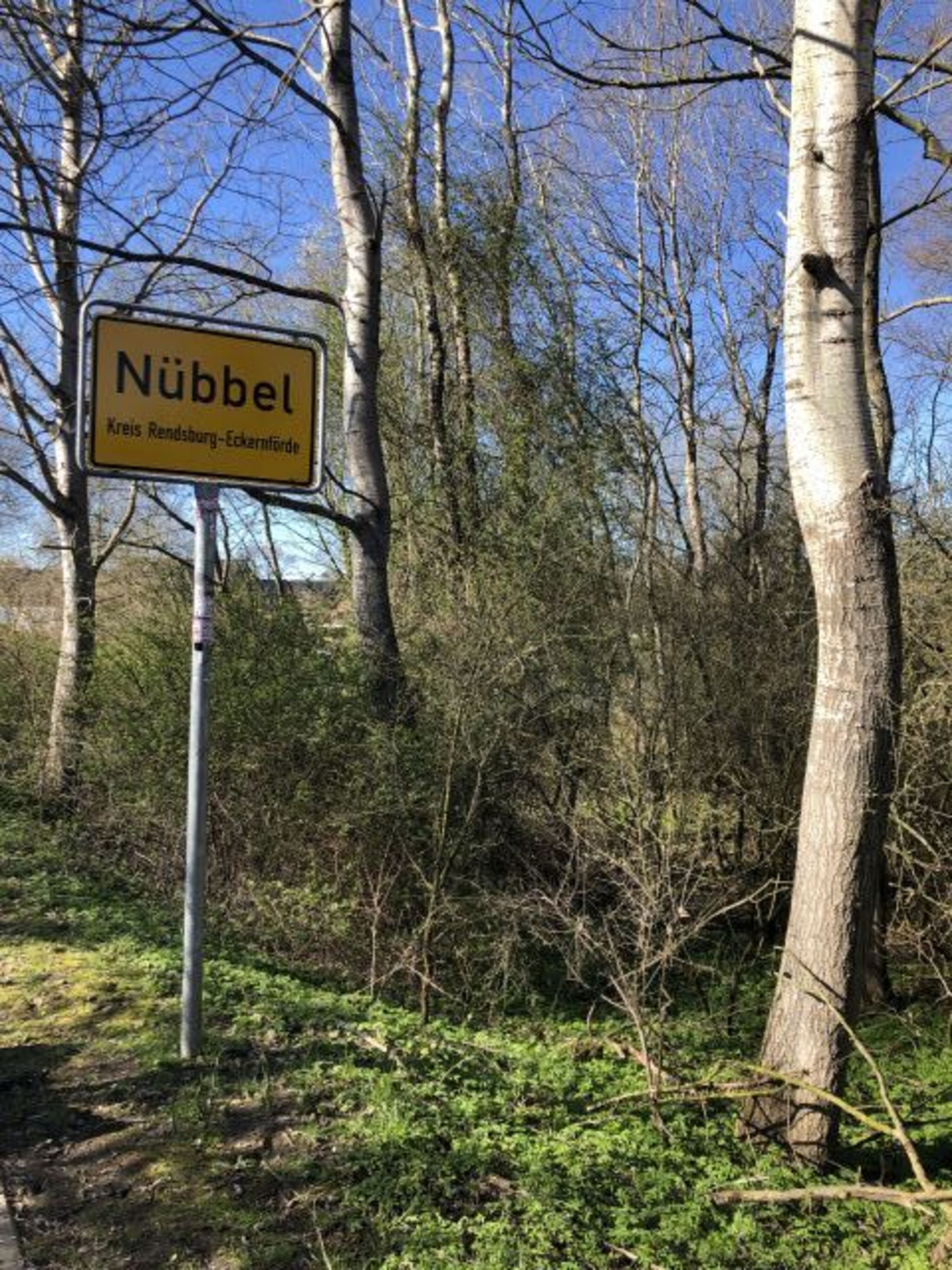 Bild 16