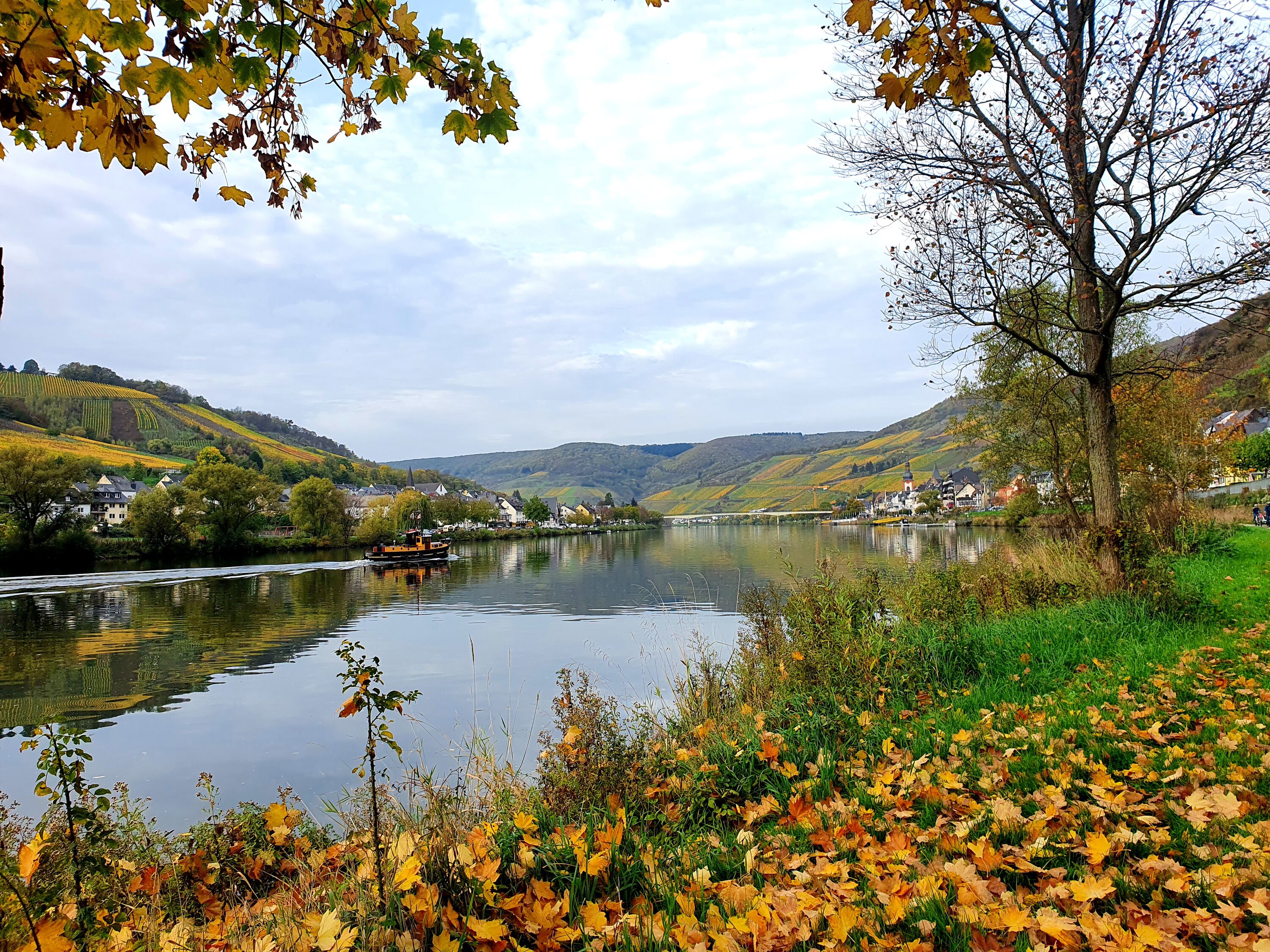 Herbst an der Mosel