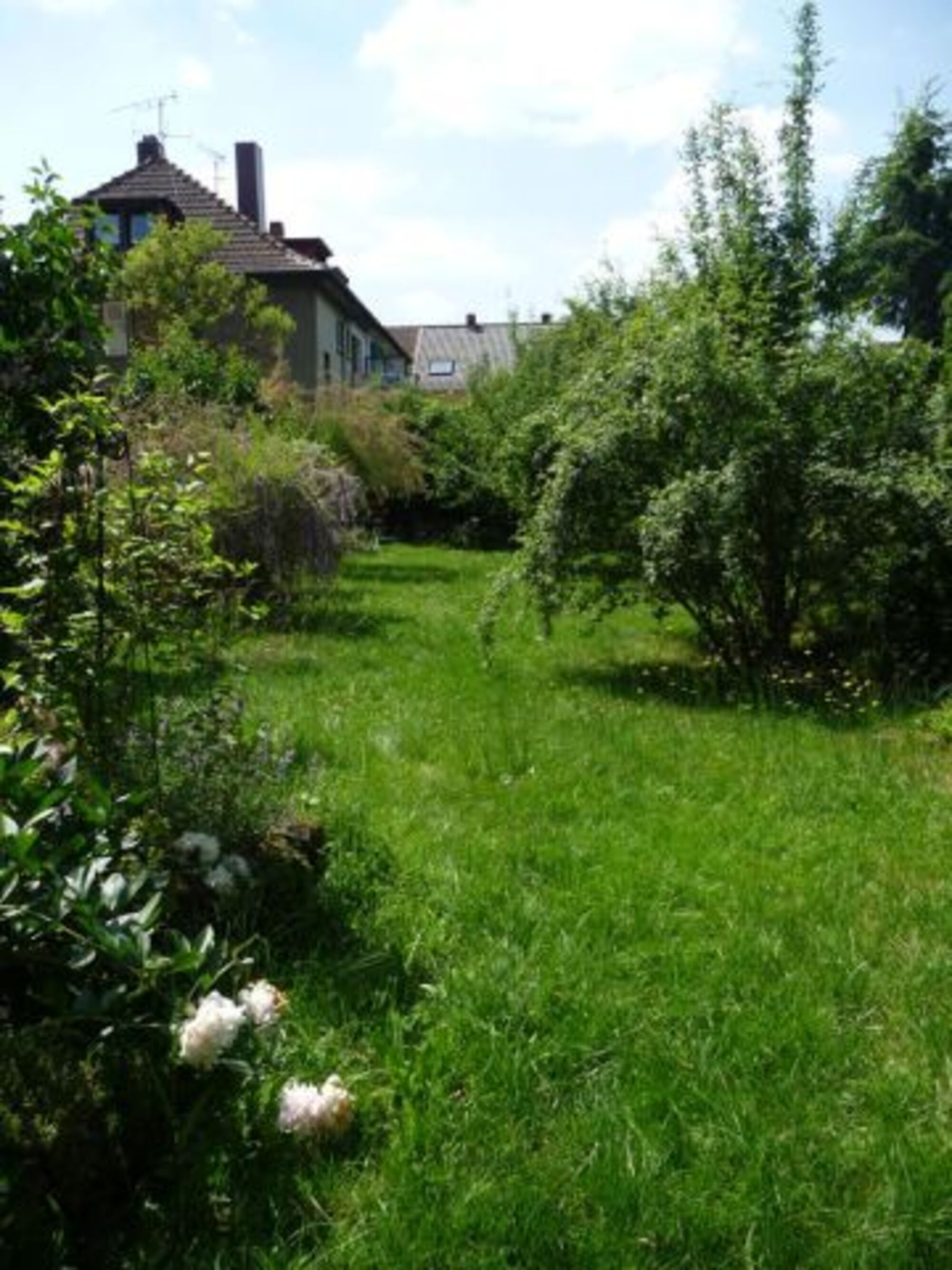 Ferienwohnung ID 13919