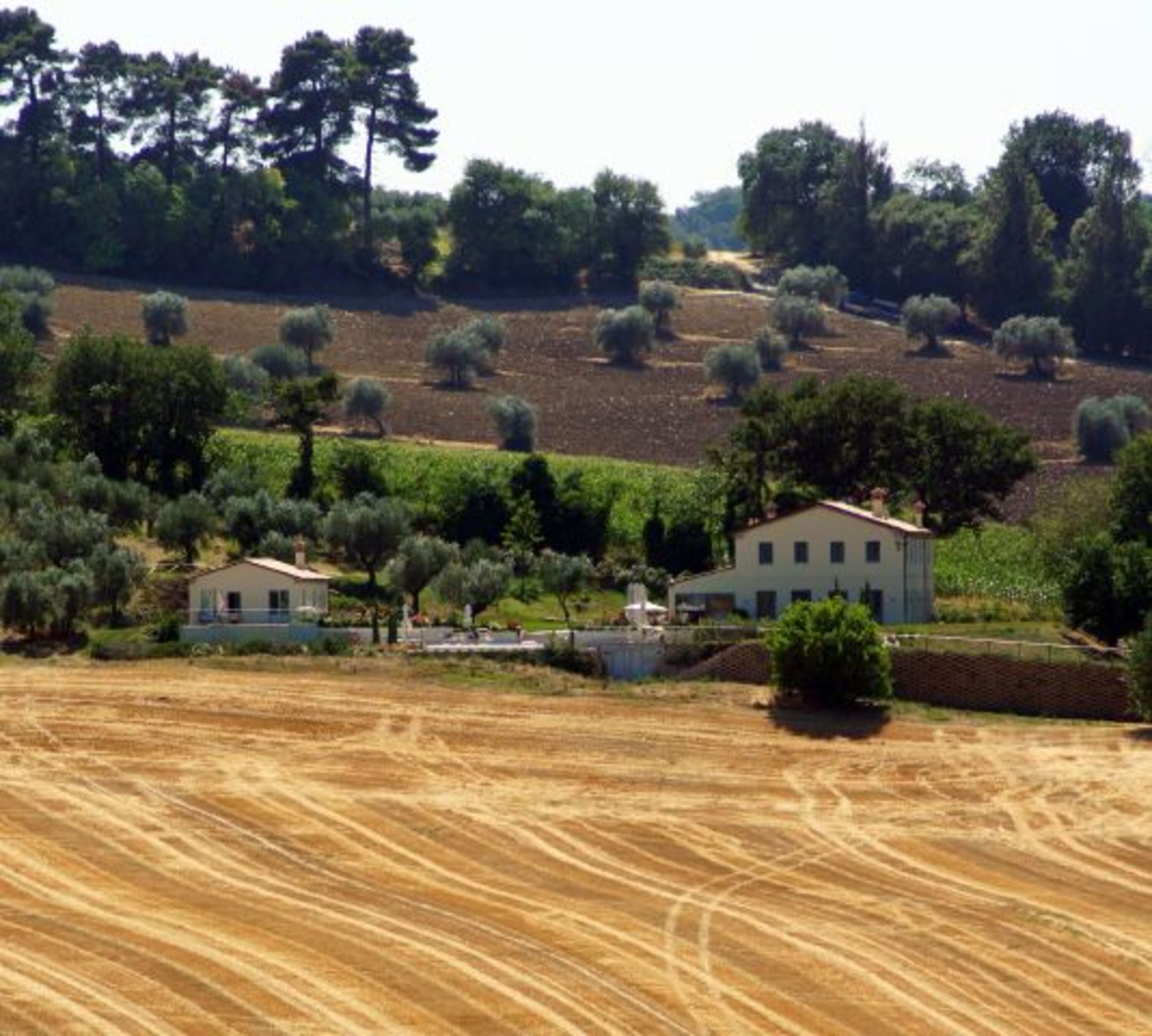 Bild 11