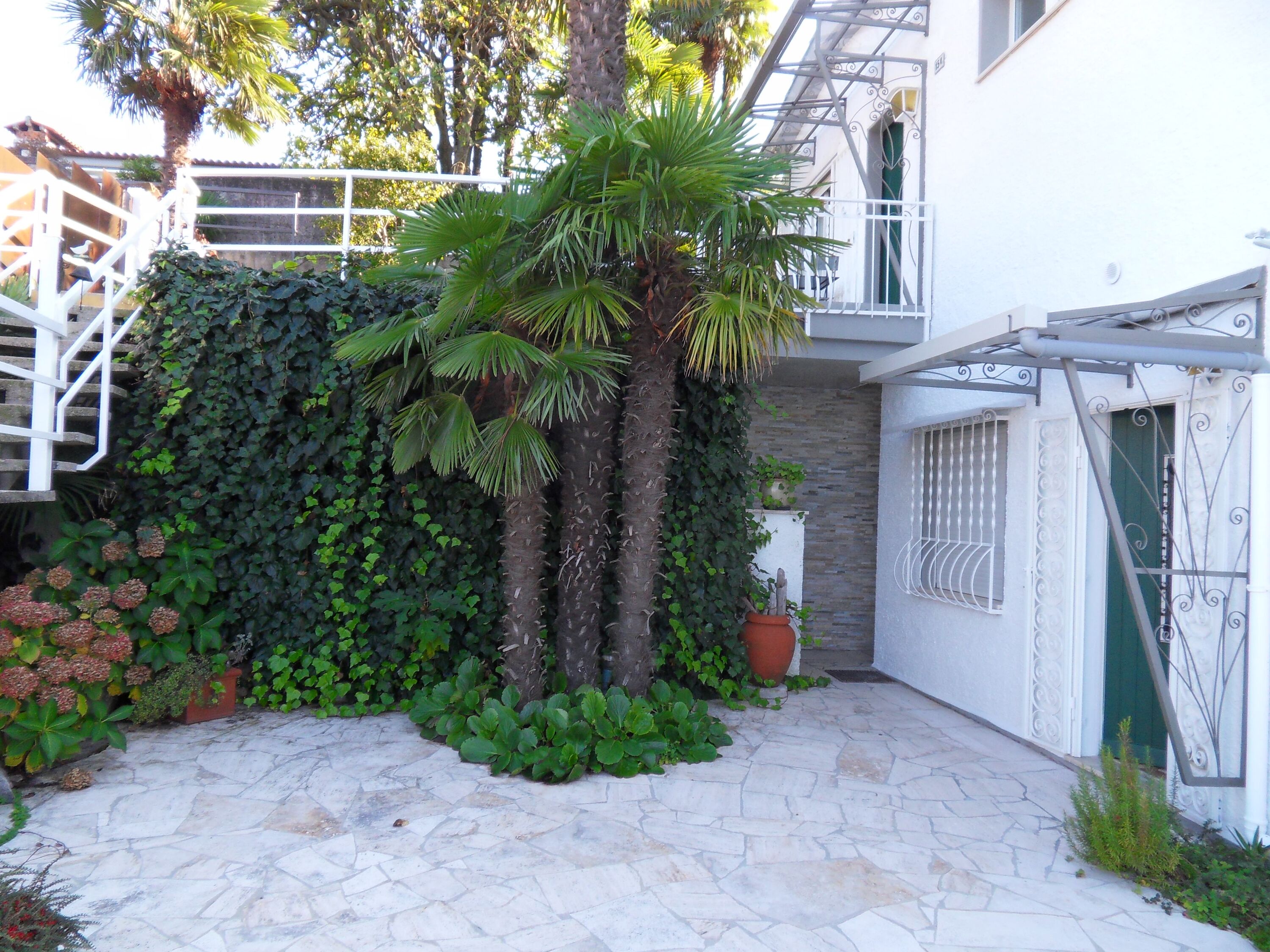 Bild 20