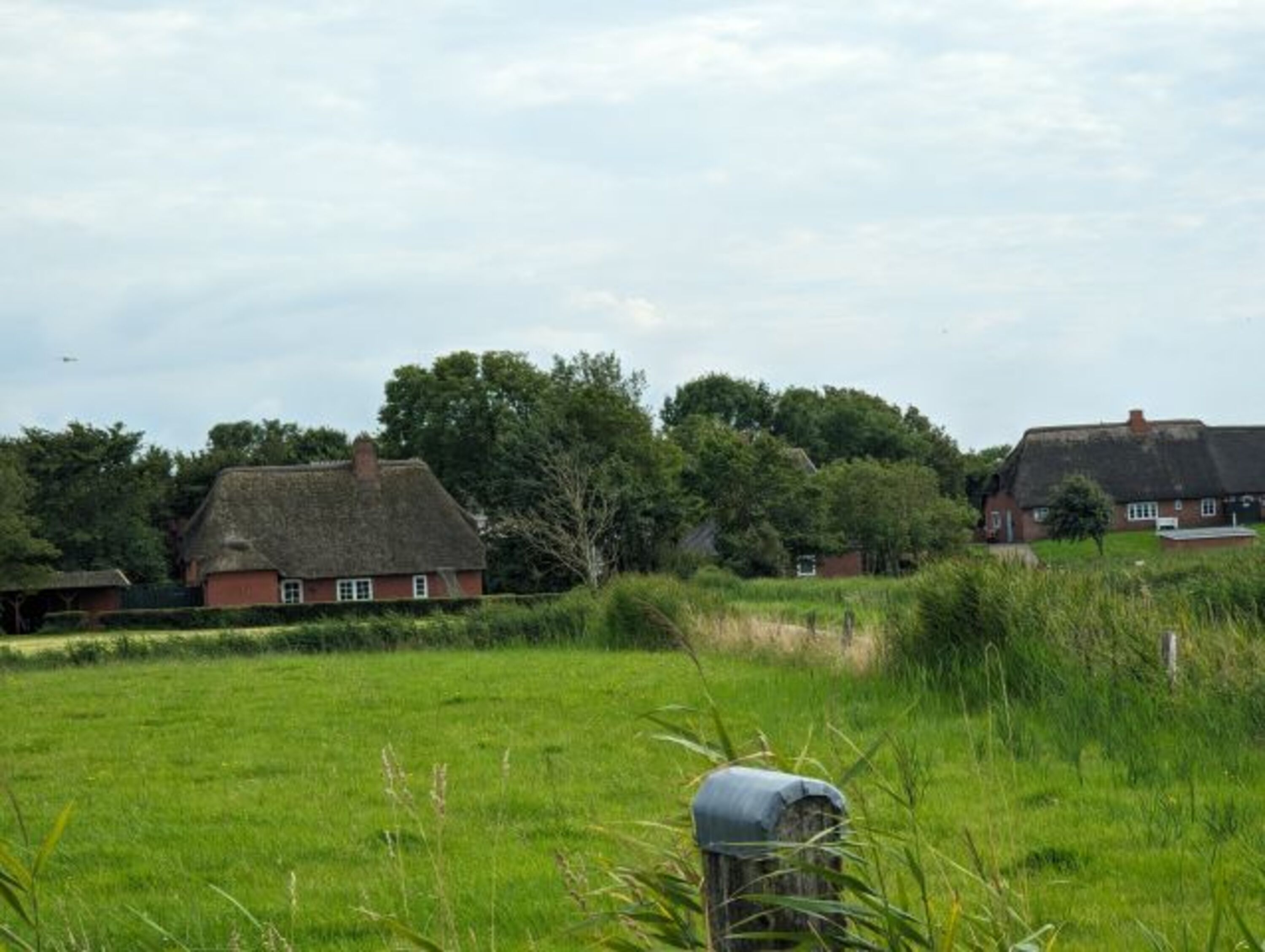 Redlefswarf