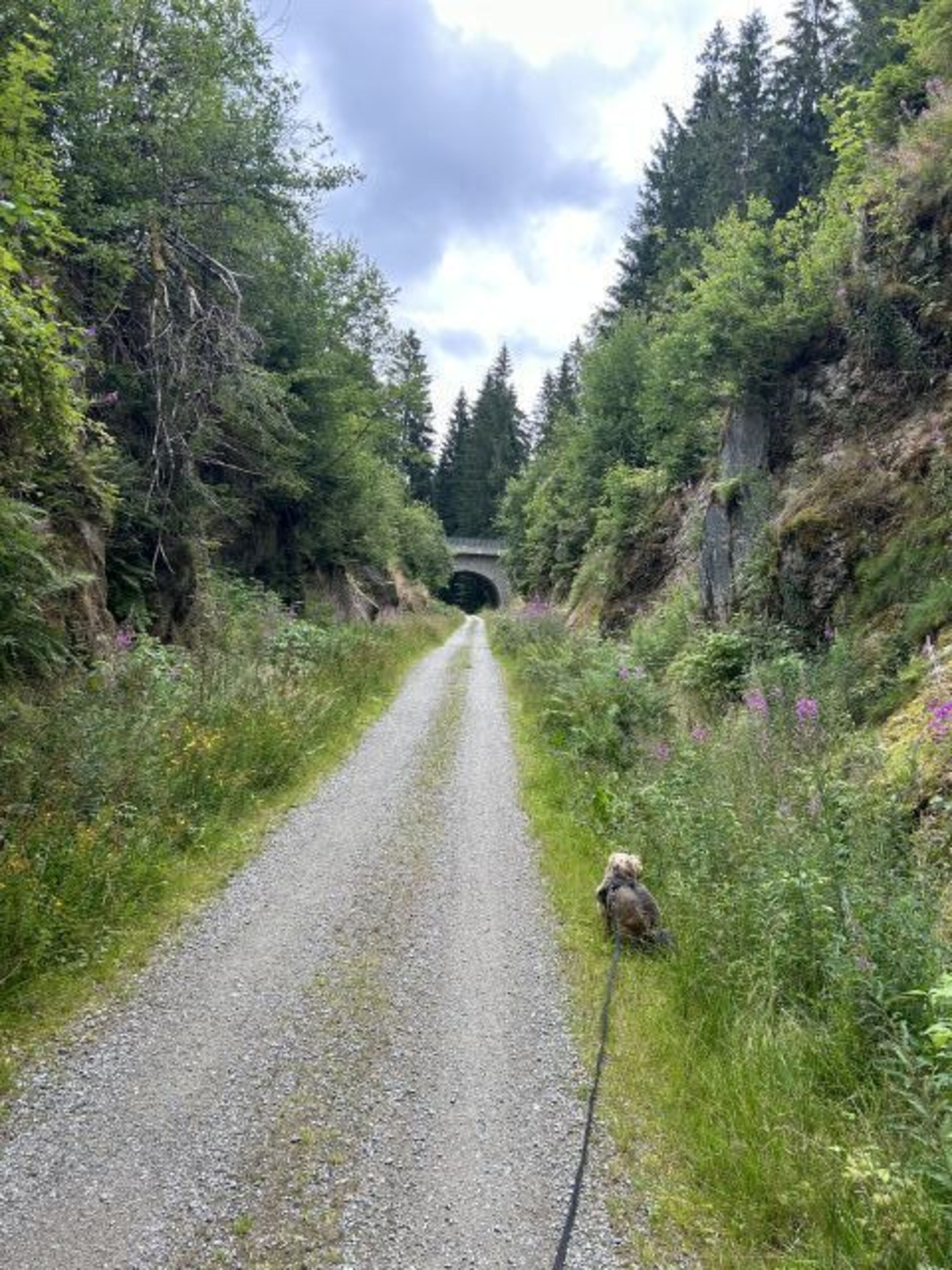 Adalbert Stifter Weg in der Nähe (100m)