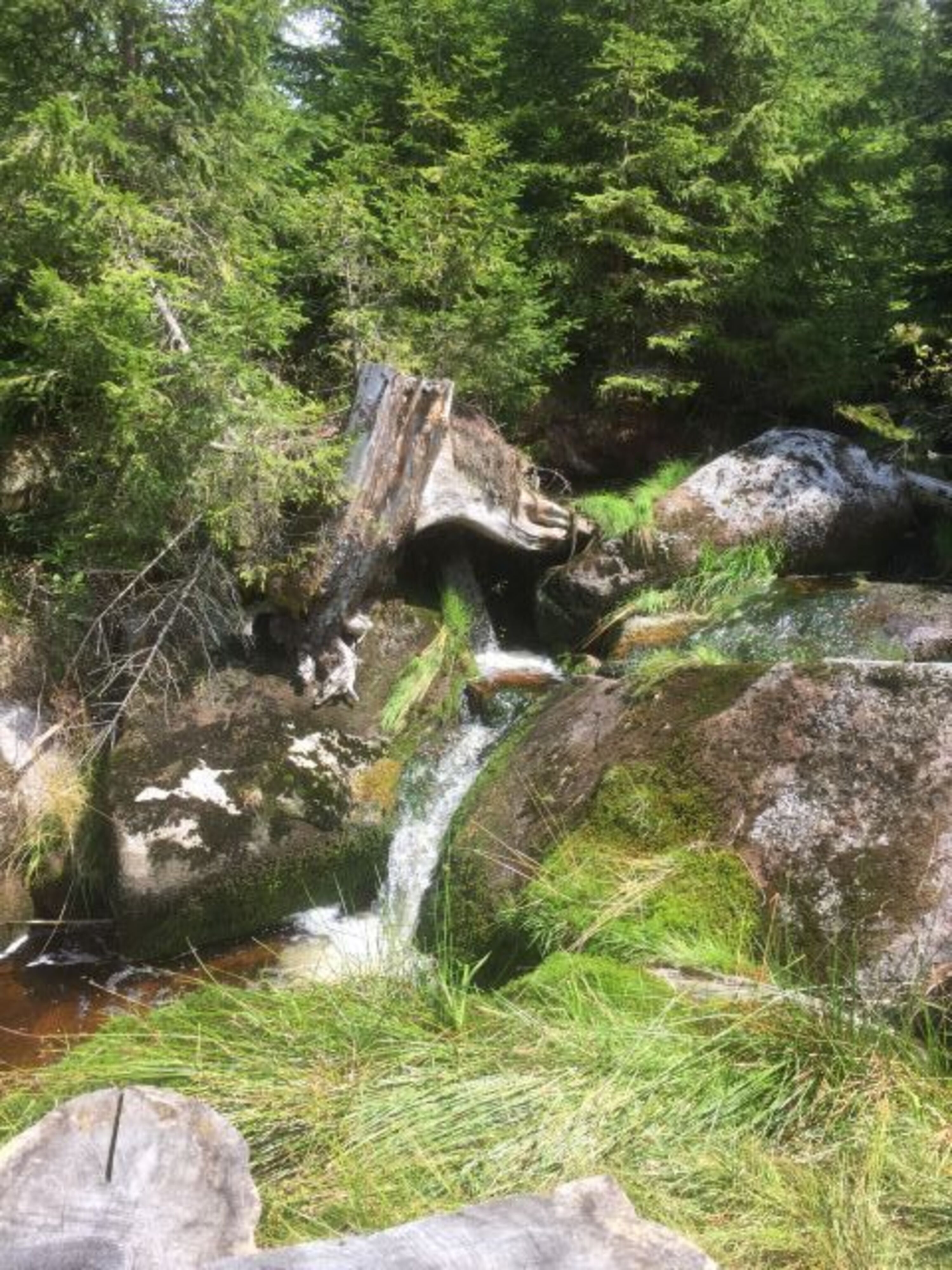 Bild 13