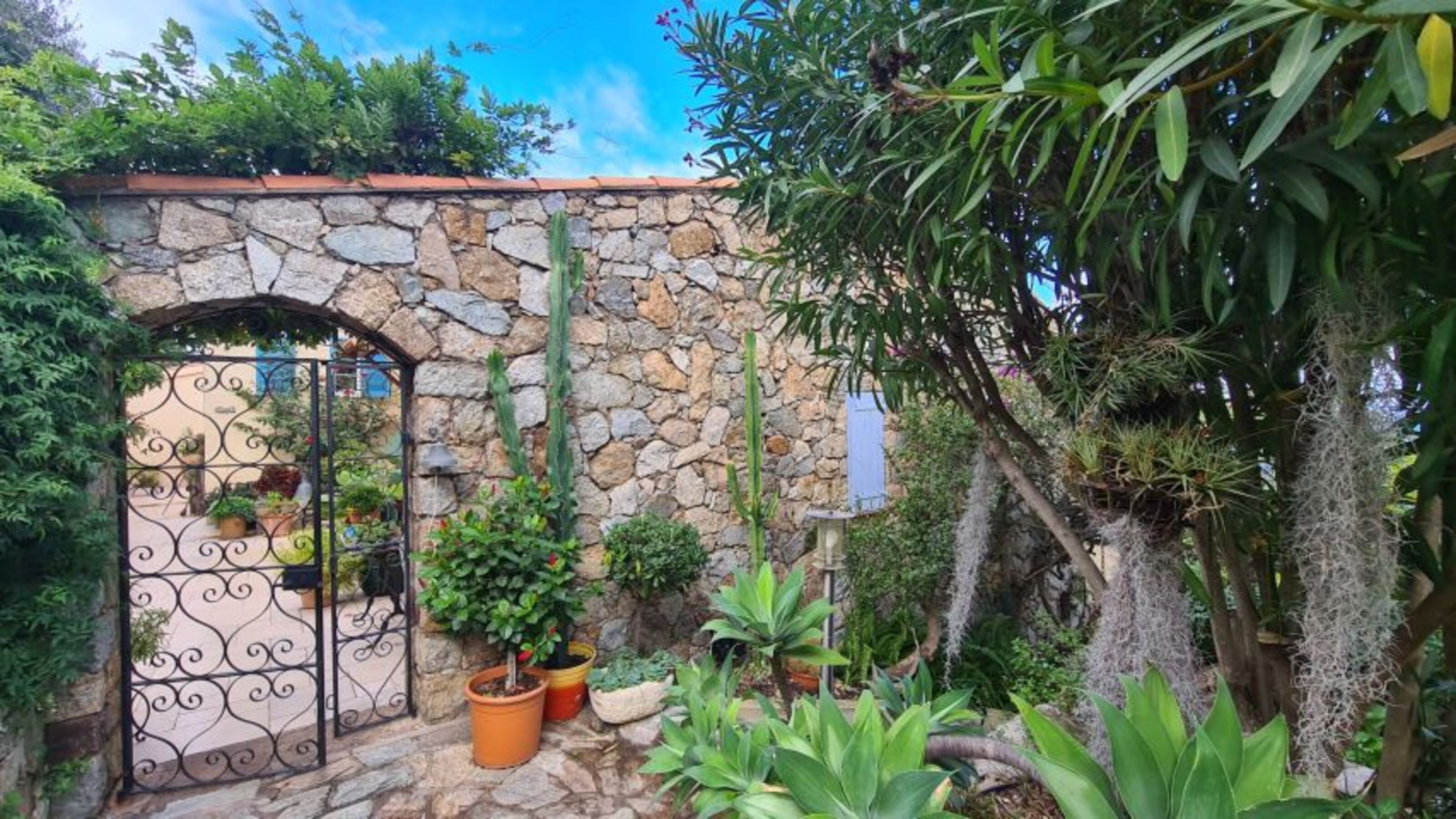 Eingangsbereich zum Patio