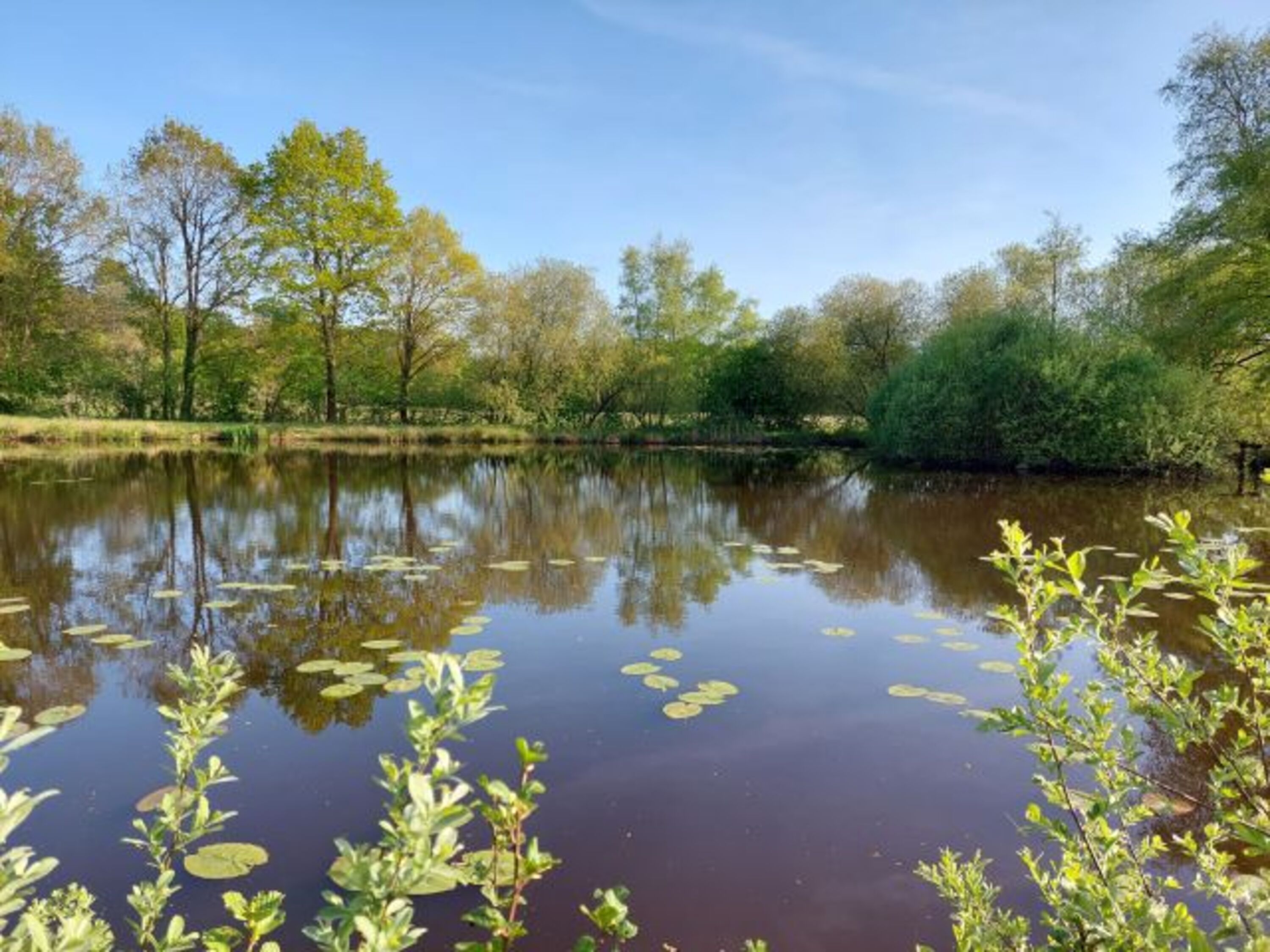 Umgebung : Angeln in Ostfriesland