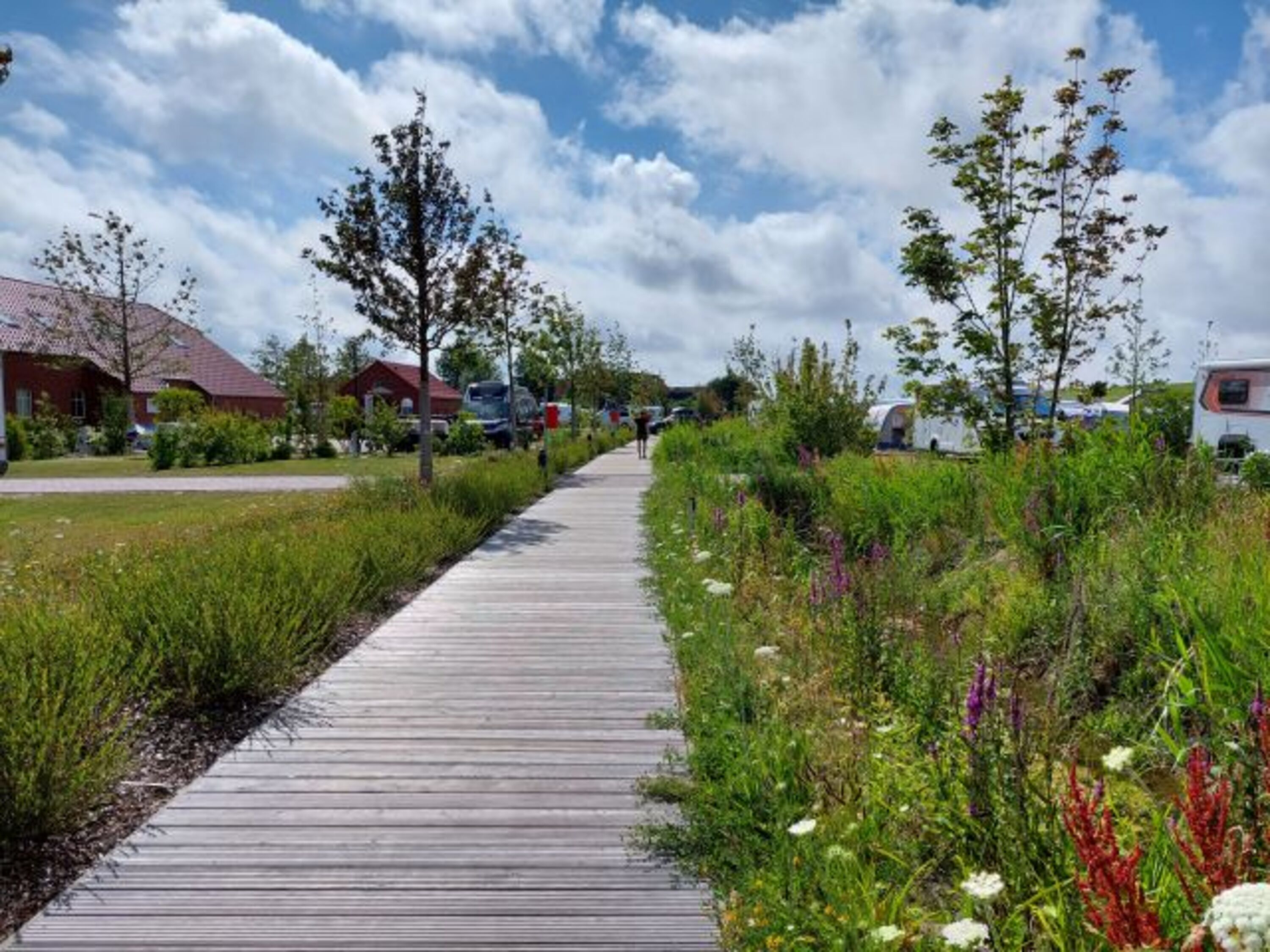 Umgebung : Campingplatz in Neuharlingersiel