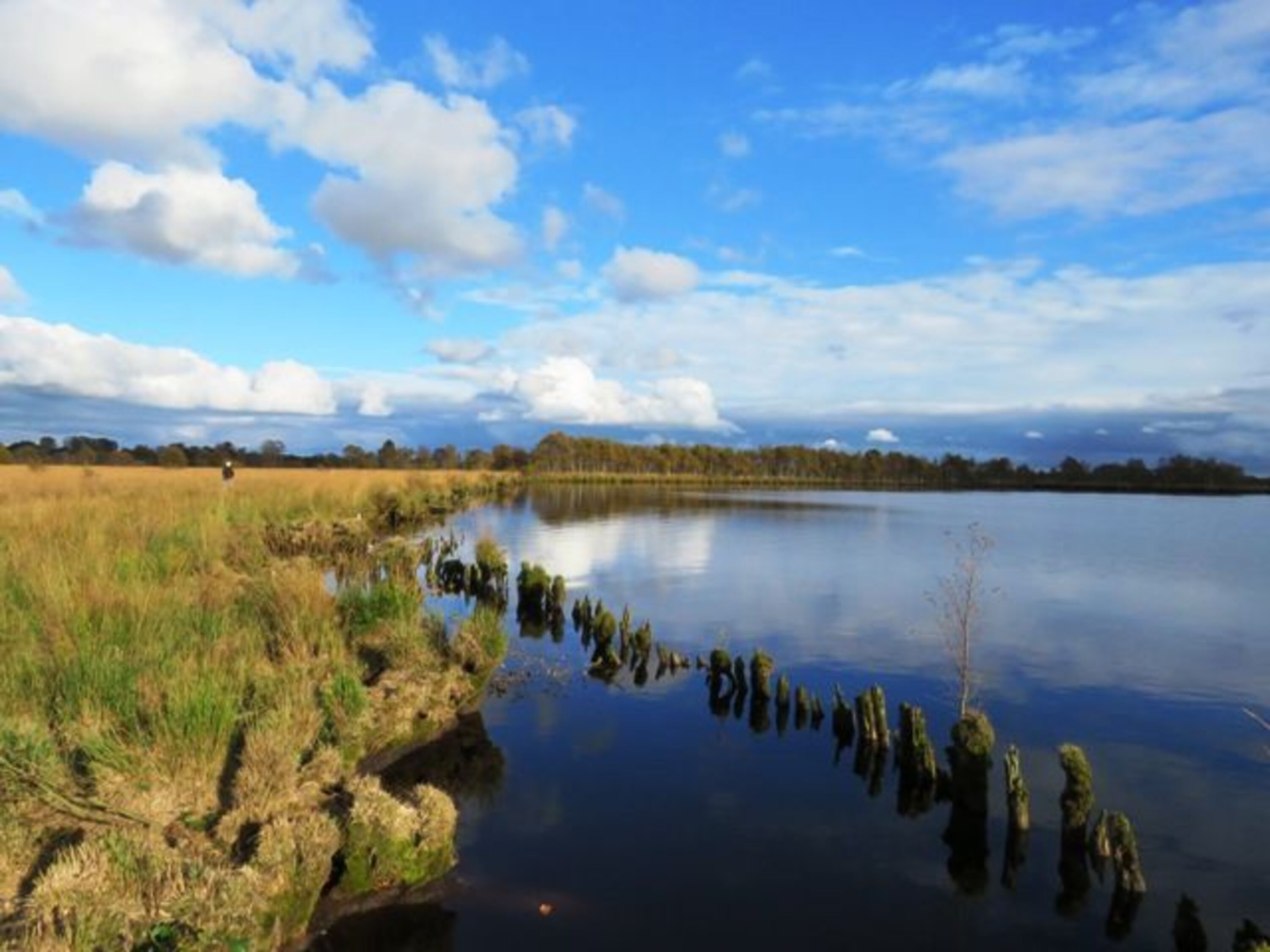 Umgebung : Das ewige Meer in Eversmeer