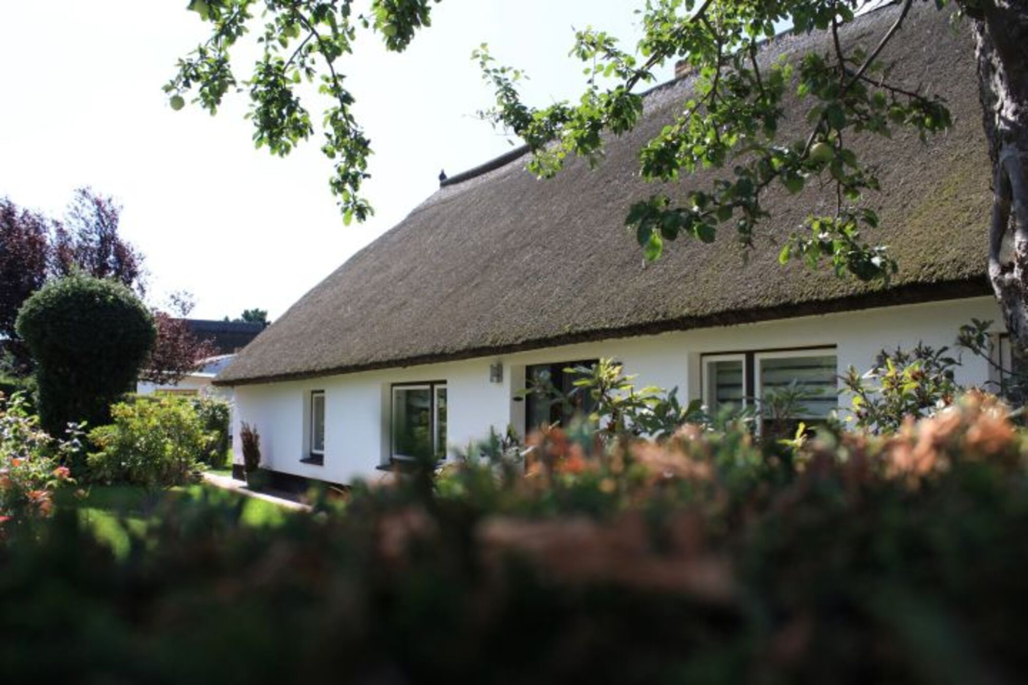 Ferienwohnung ID 14034