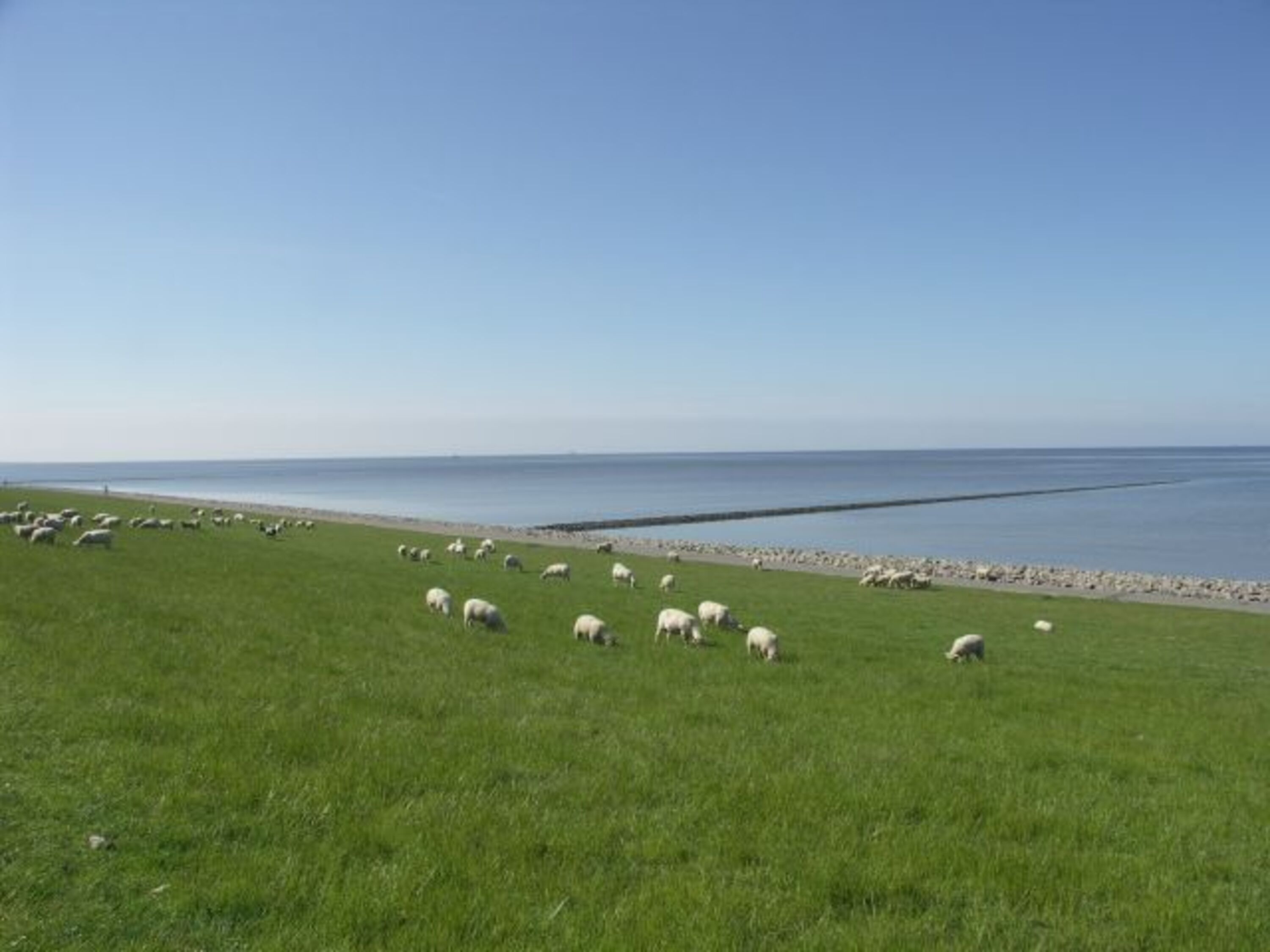Bild 13