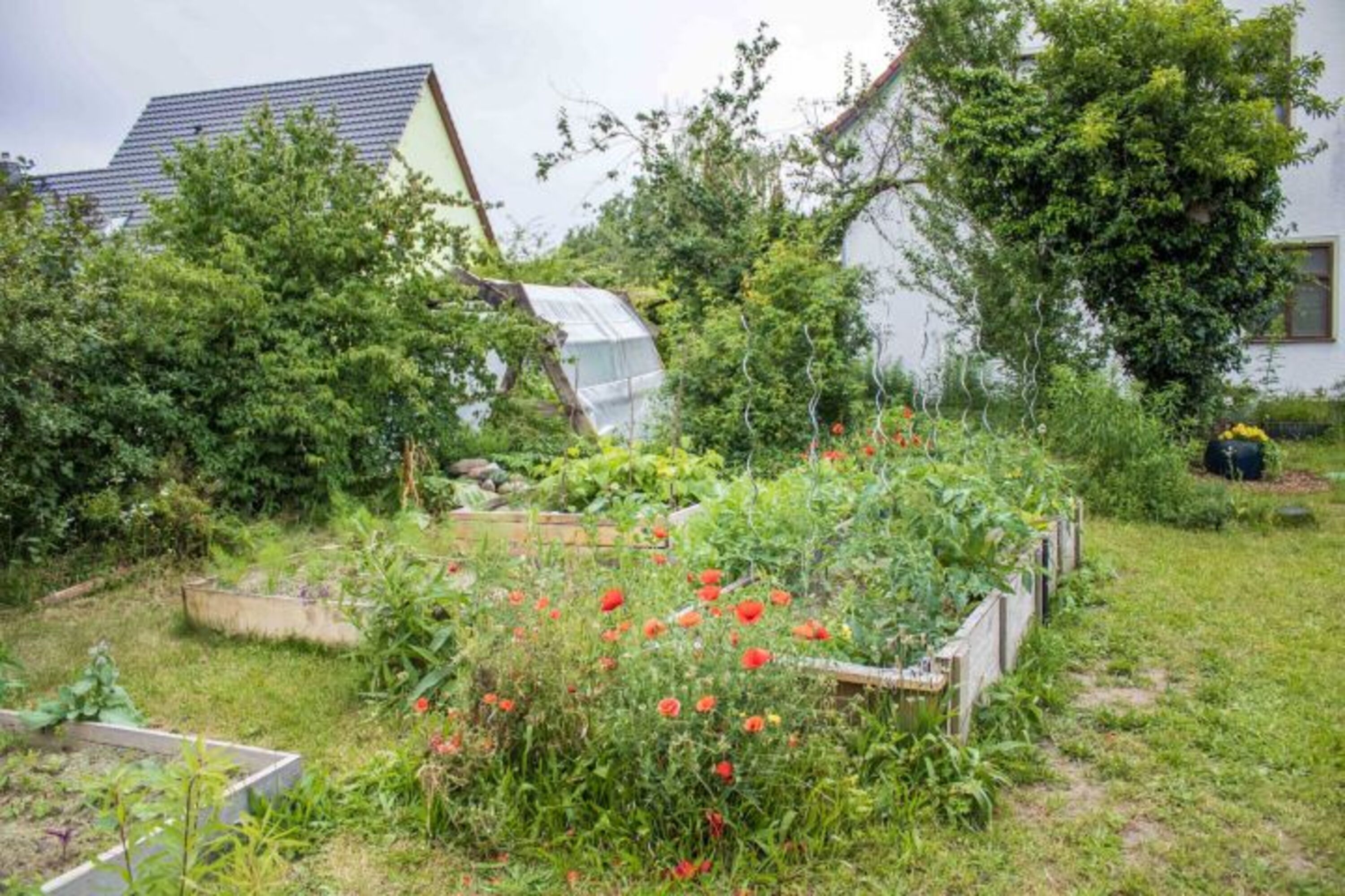 Bild 21
