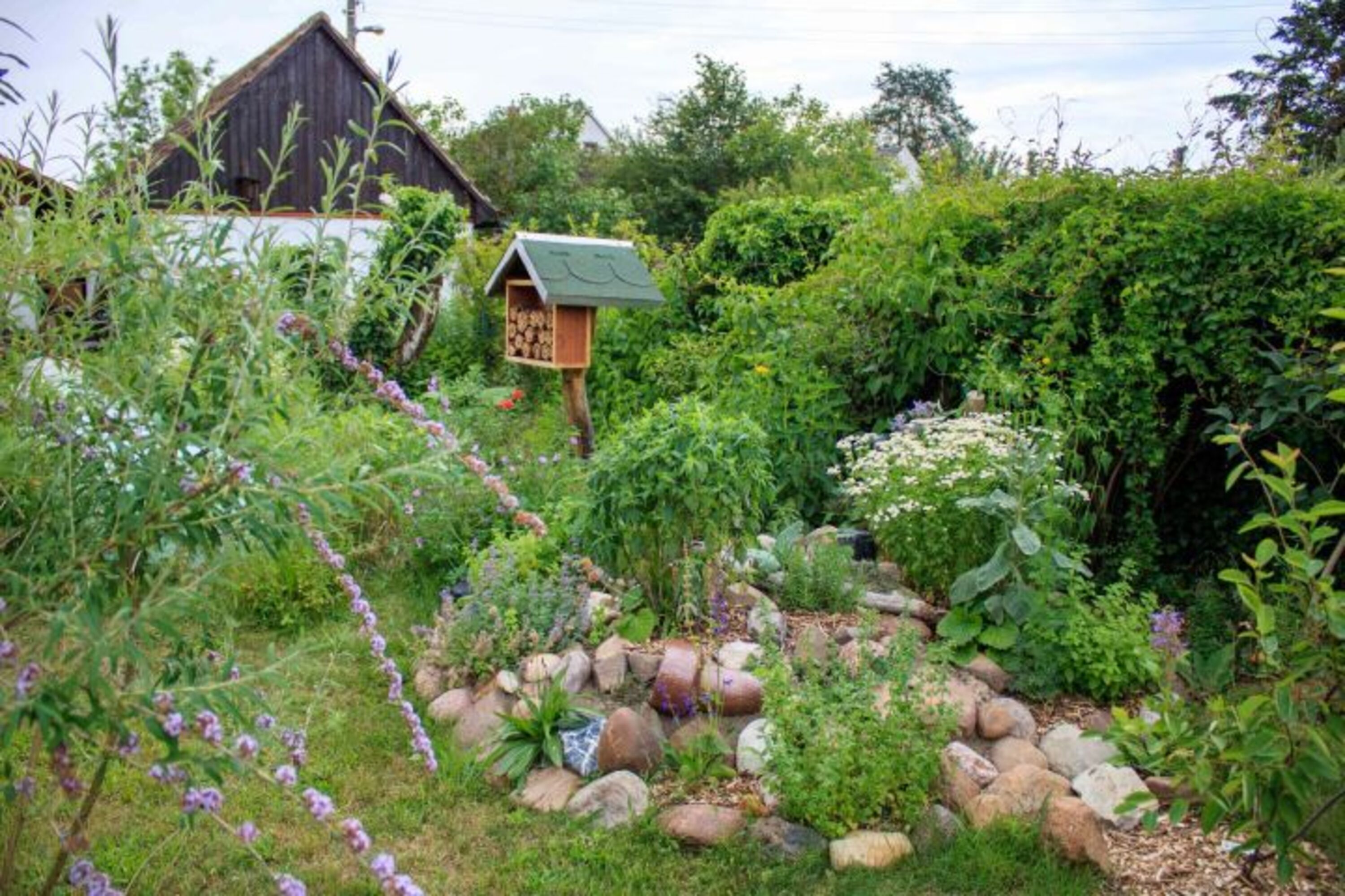 Bild 20