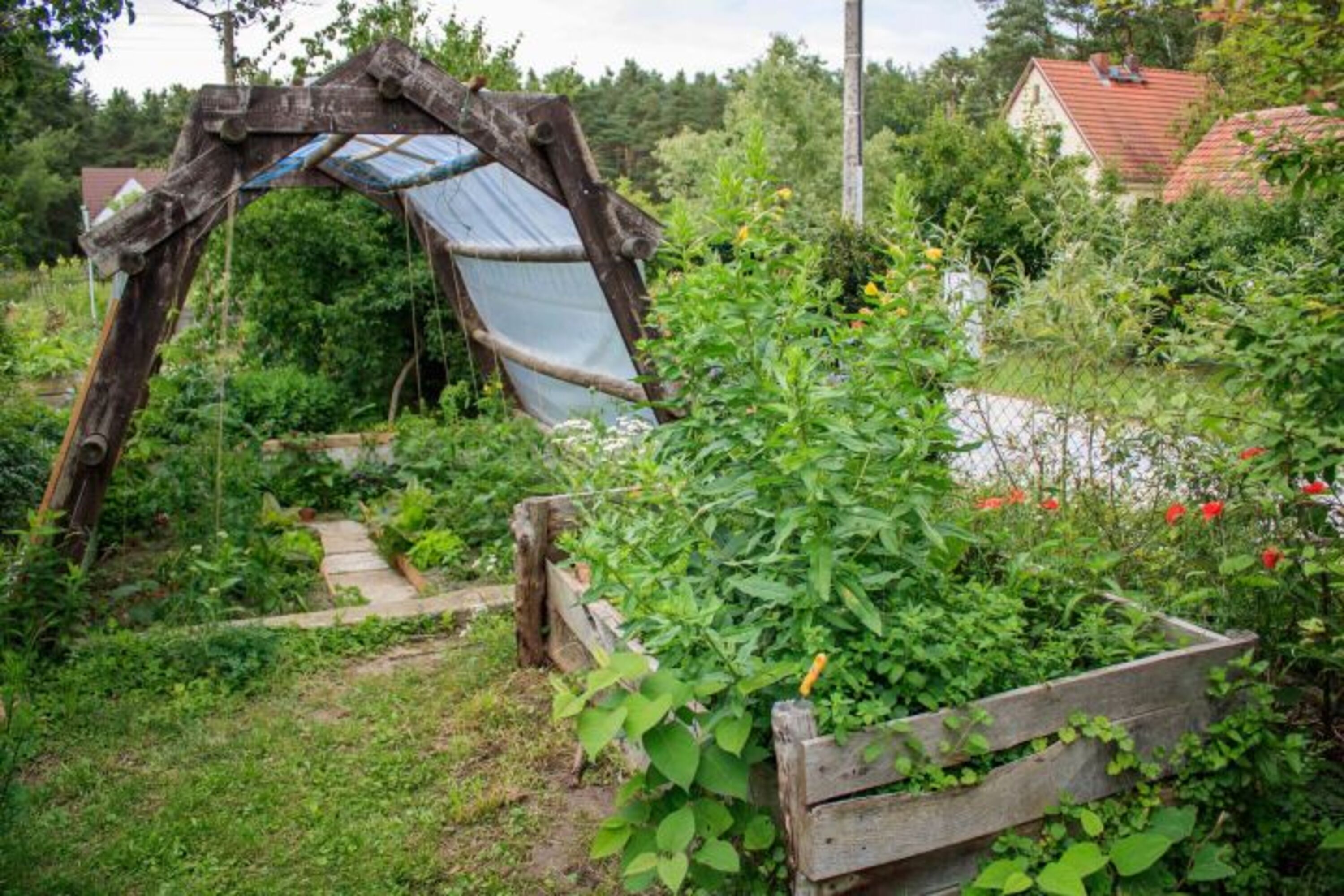 Bild 19