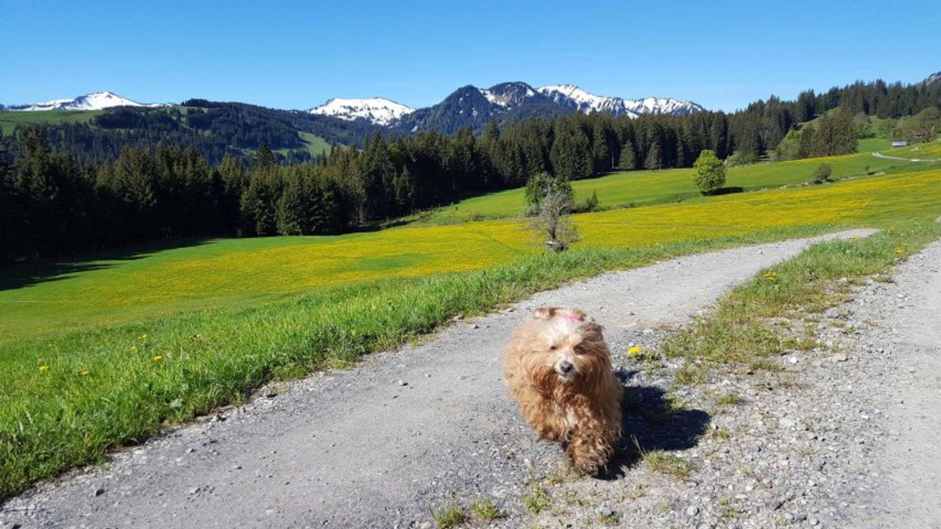Bild 15