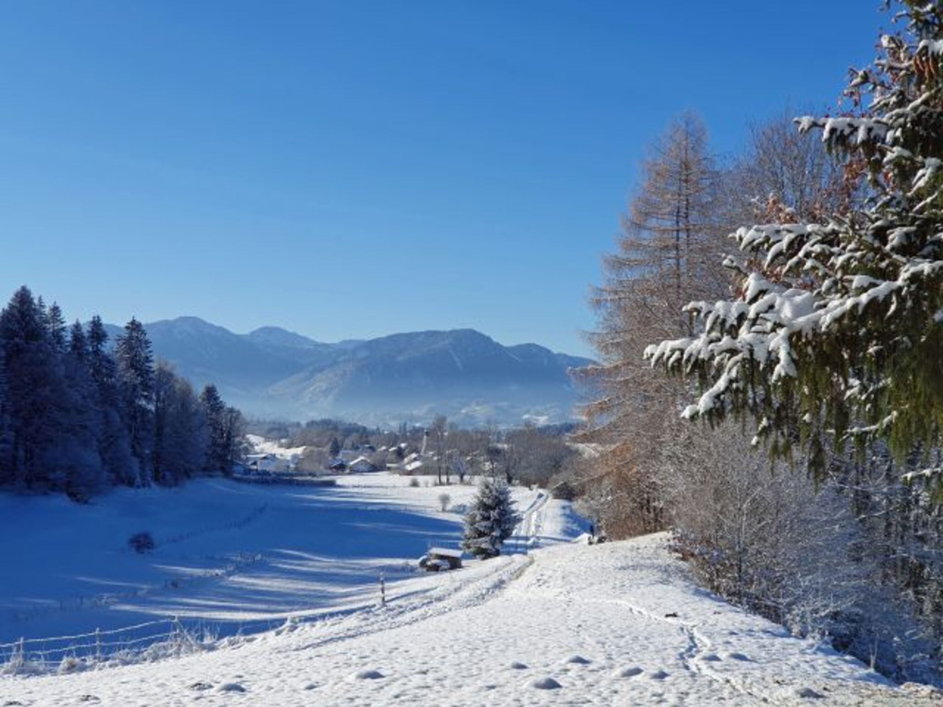 Bild 13