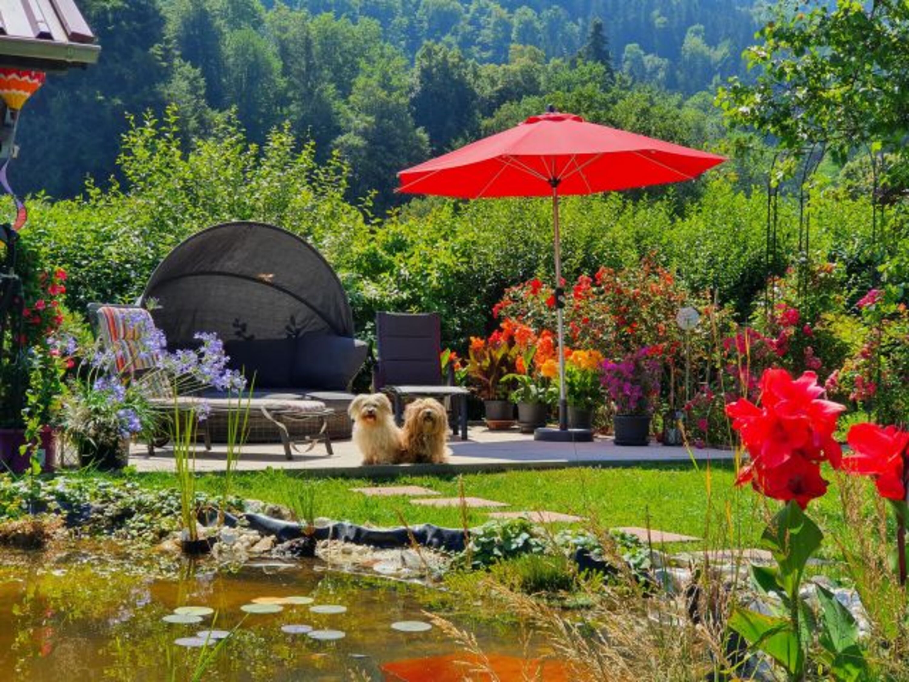 Urlaub Allgäu mit Hund