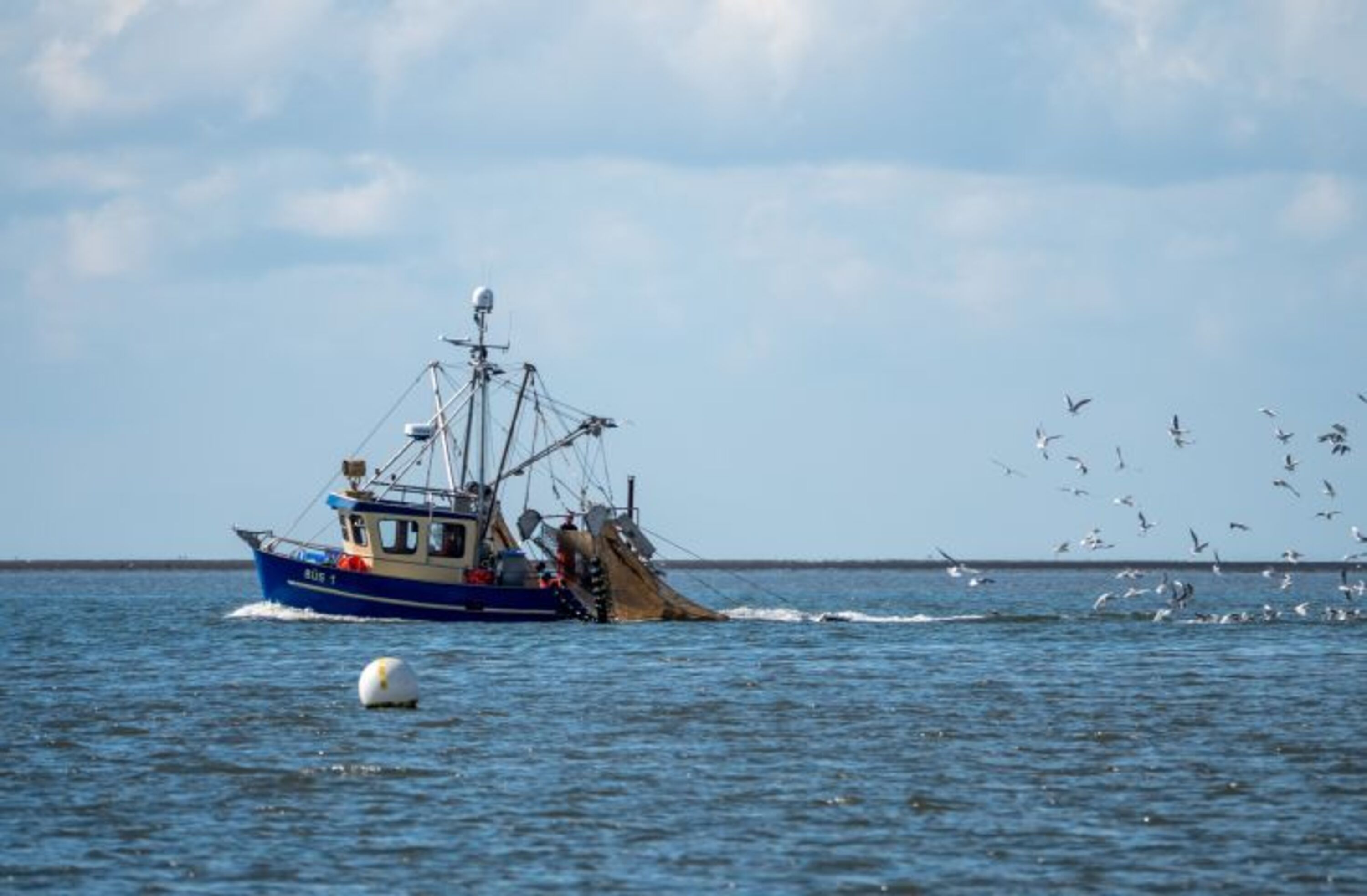 Krabbenkutter in Büsum