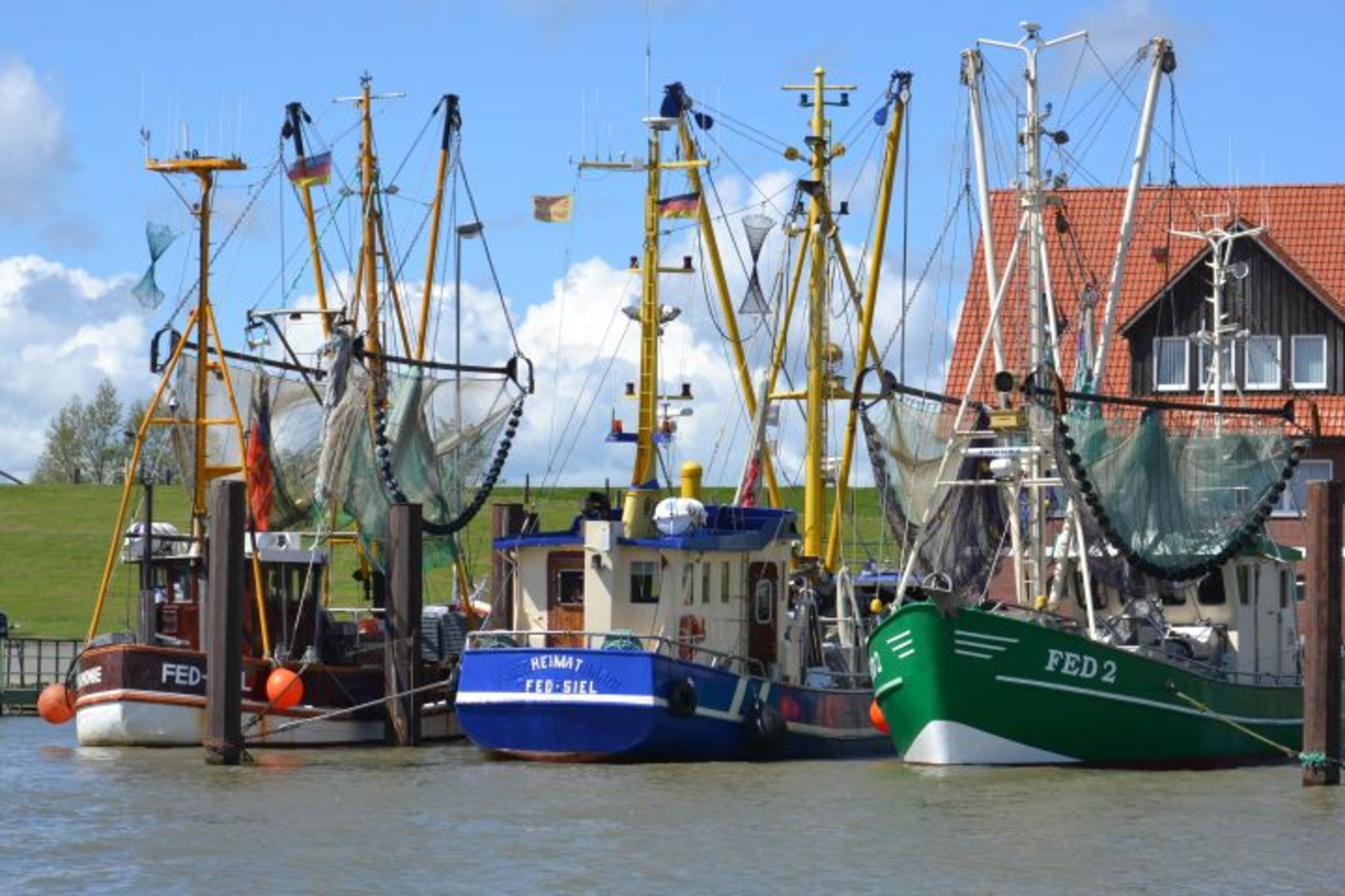Hafen Fedderwardersiel