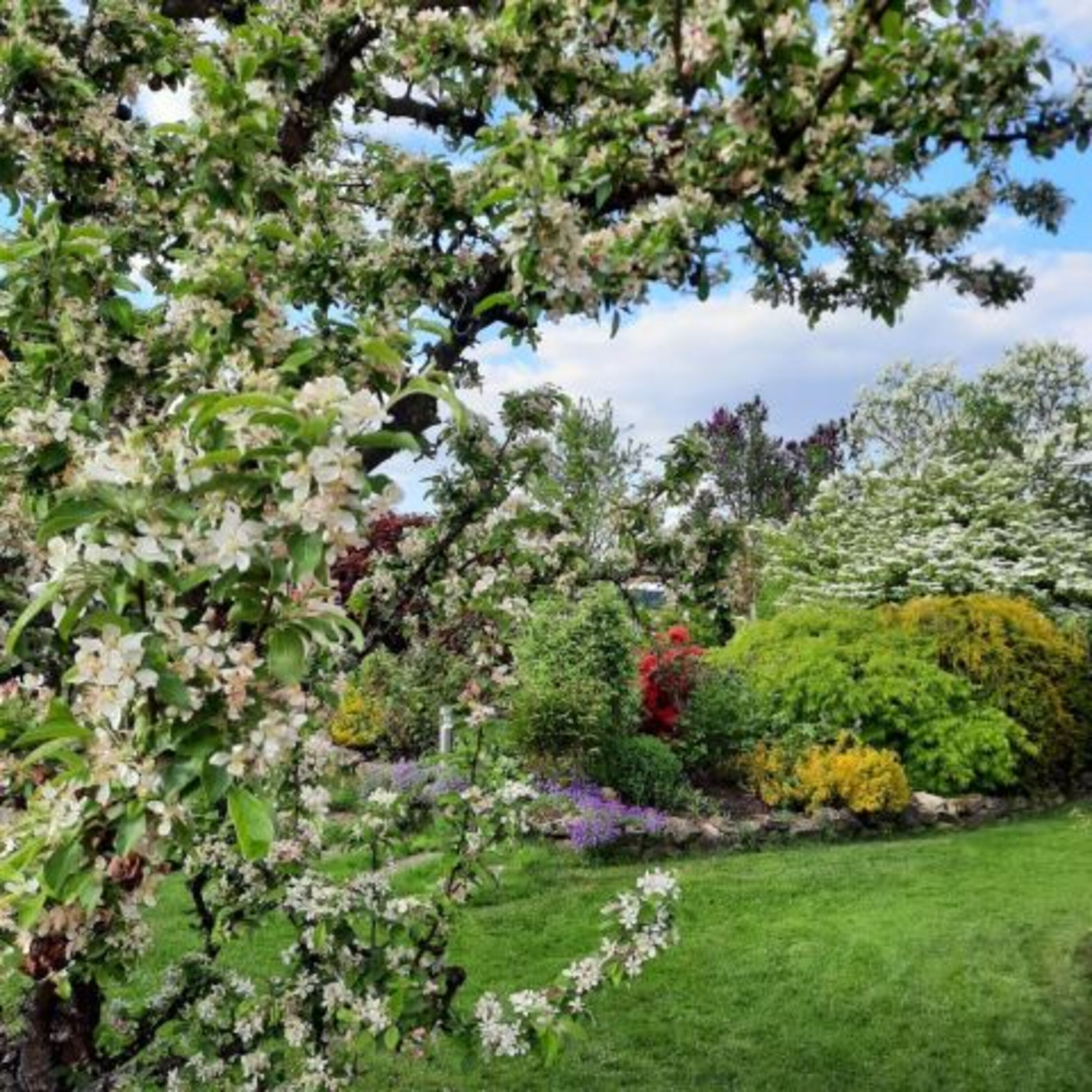 Garten