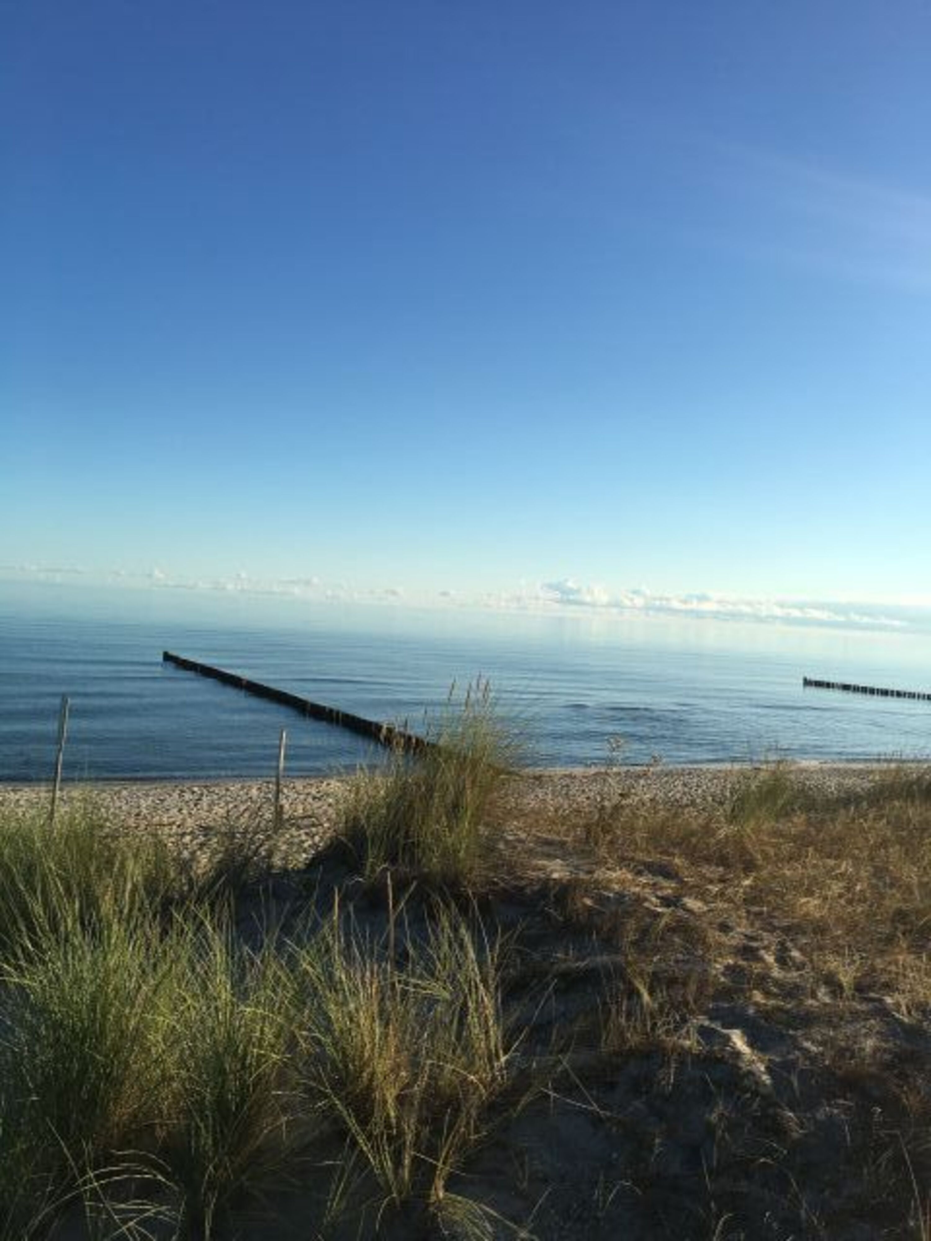 Strand 2