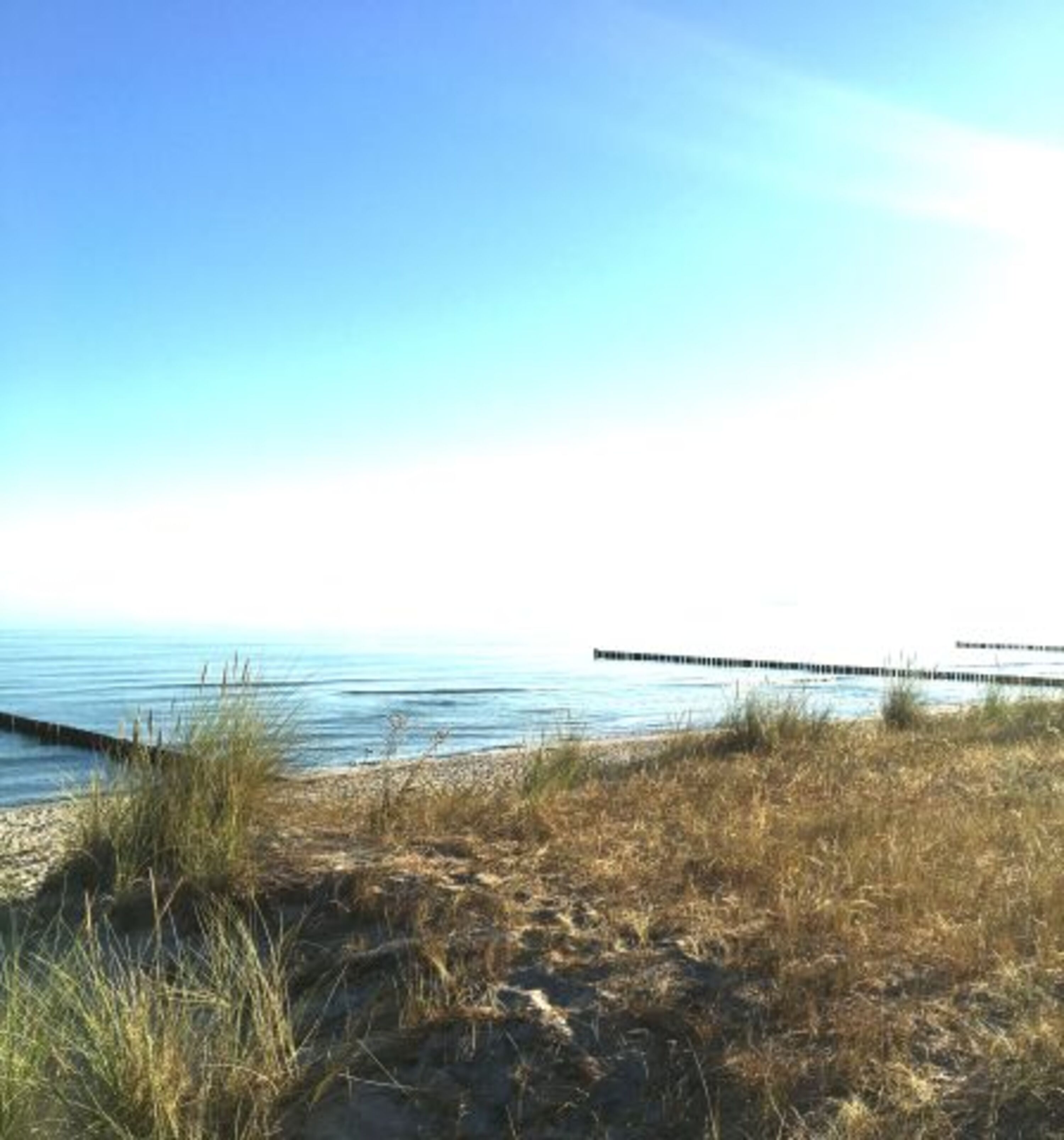Strand 1