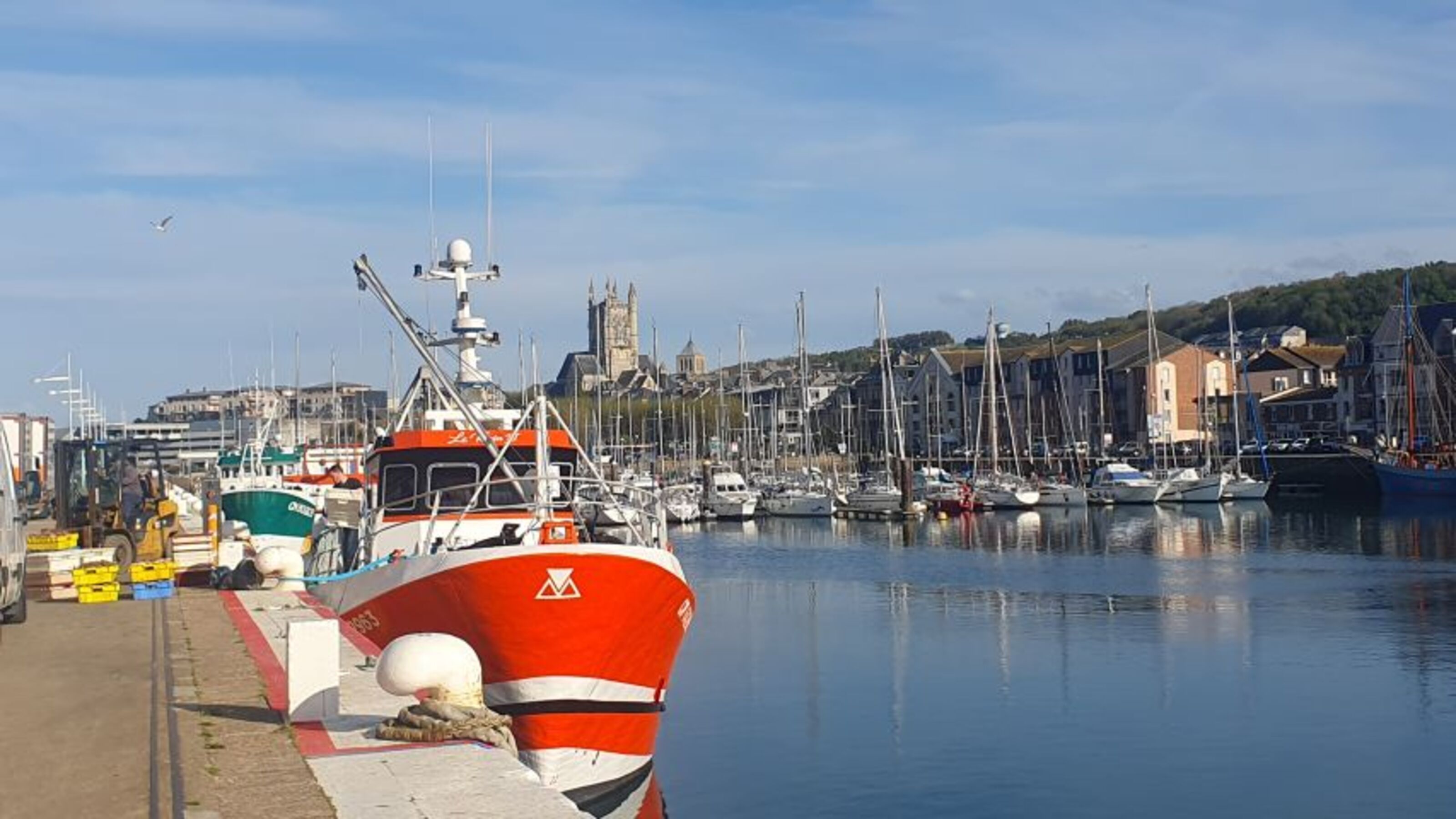Fischerboote im Hafen. Ankunft des Fischfangs (hier Jakobsmuscheln)