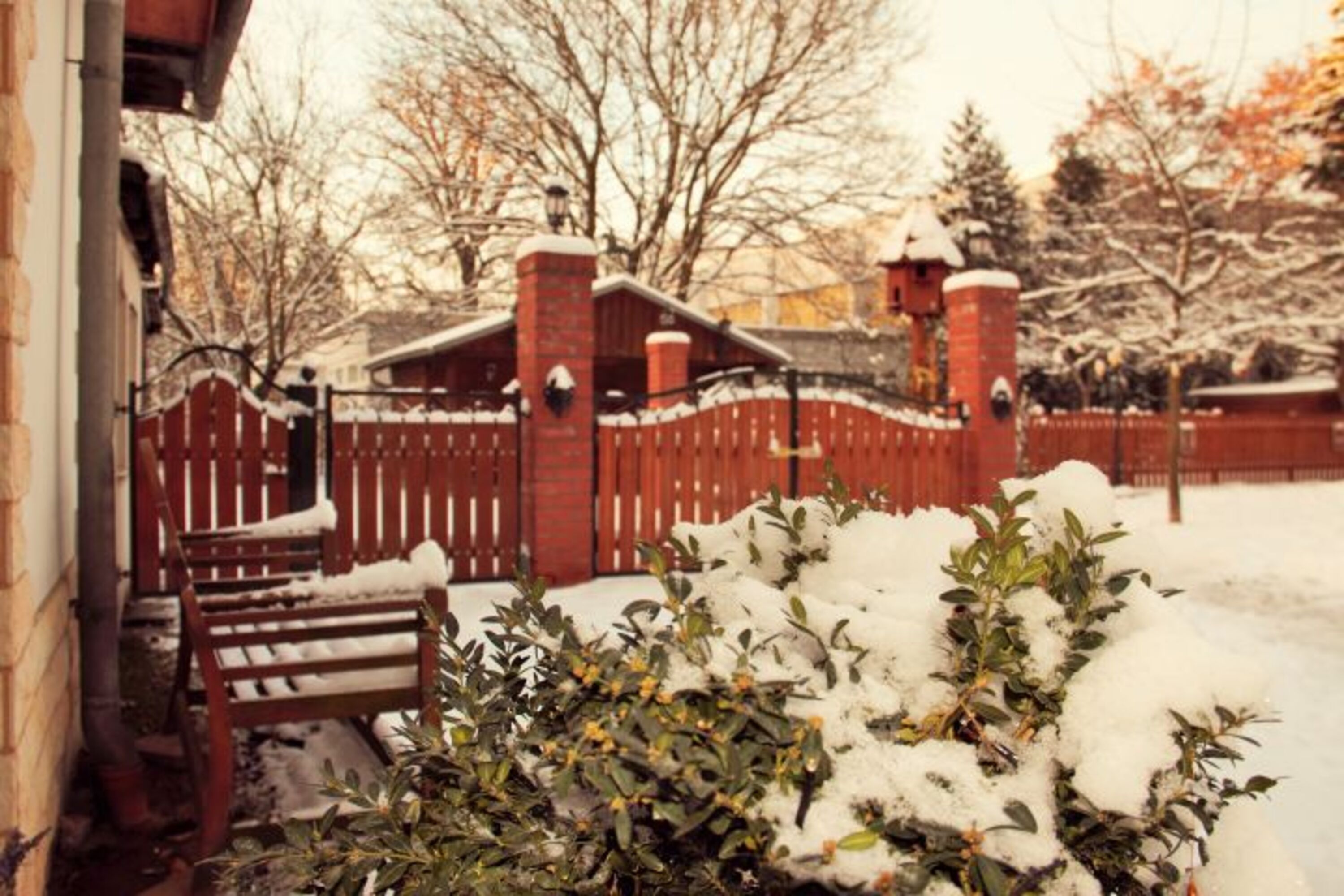 Winter - Impressionen