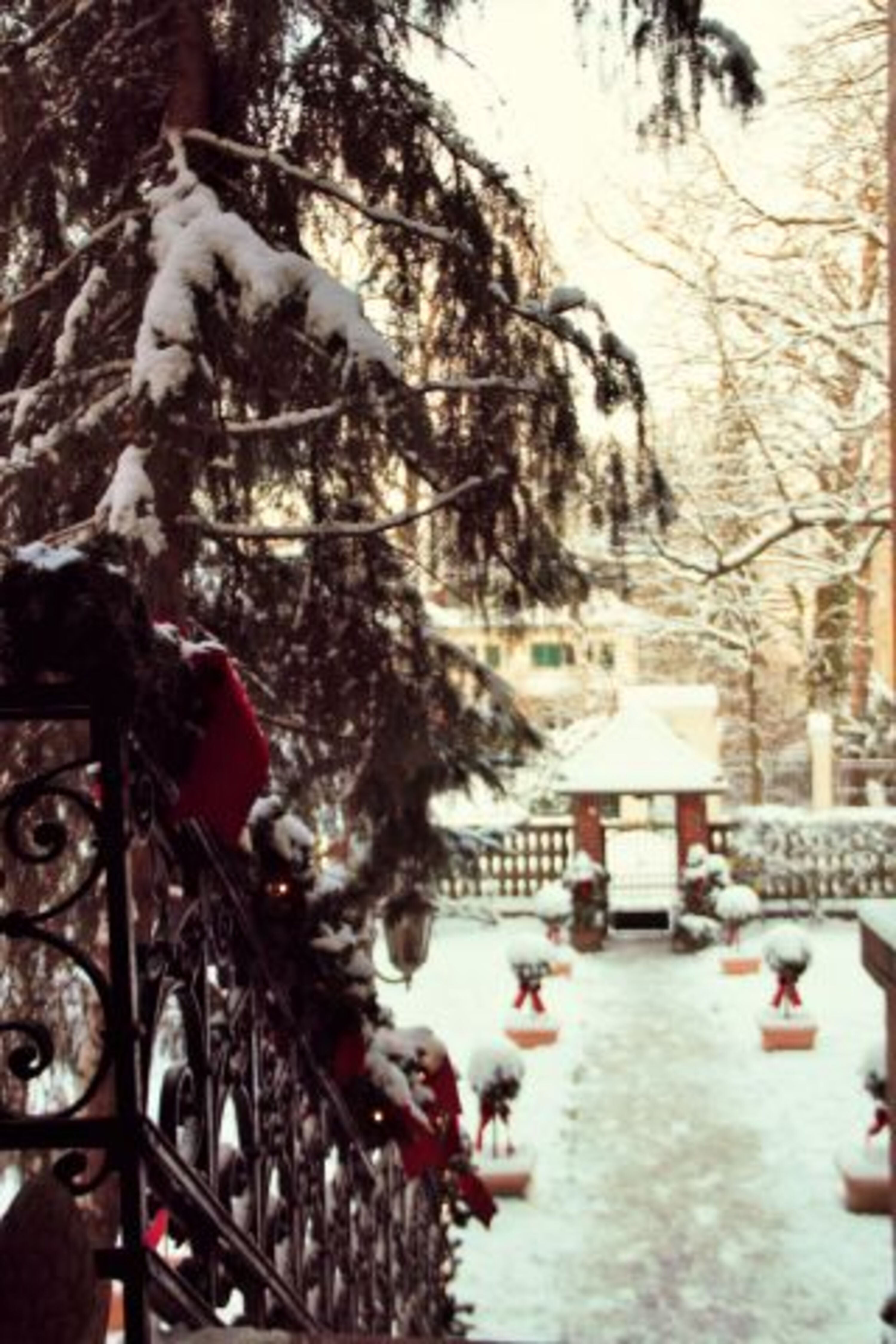 Winterzauber im Casa Chabeli - Berlin