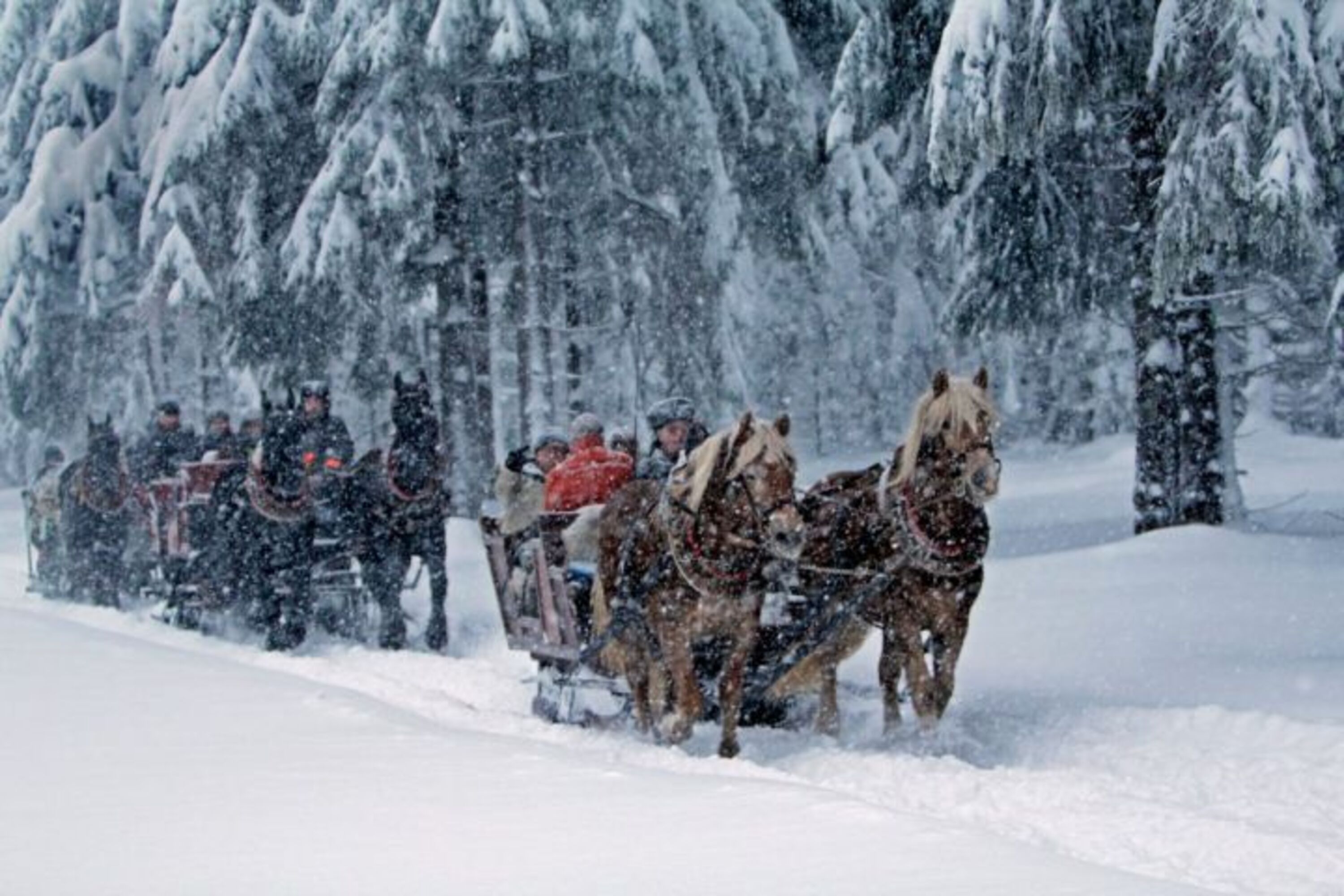 Kutschfahrten im Winter