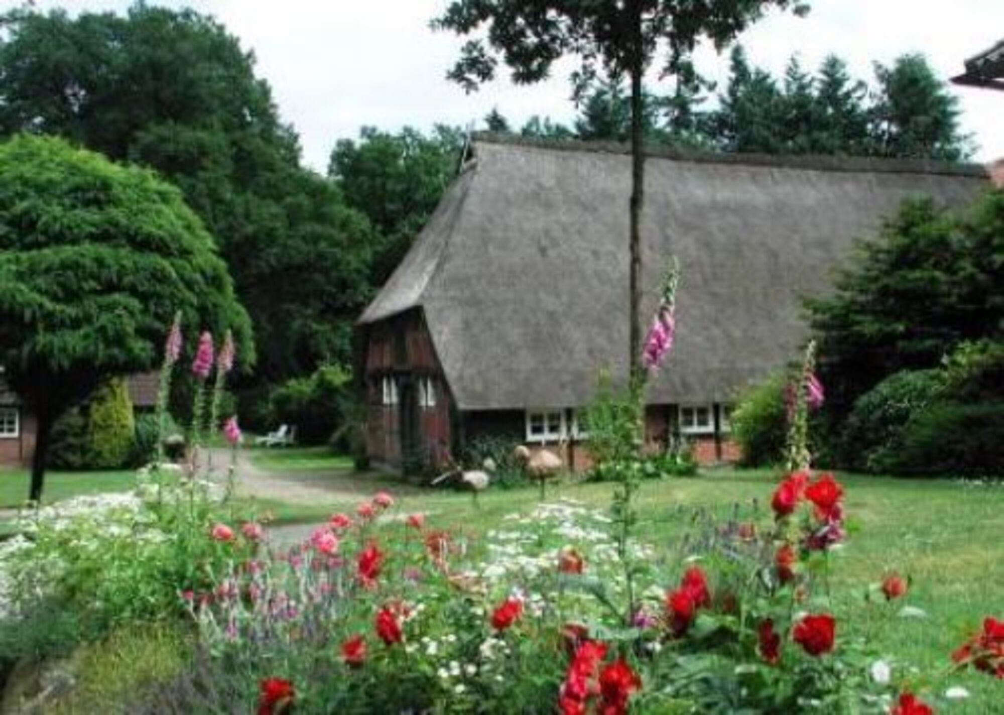 Ferienwohnung ID 202