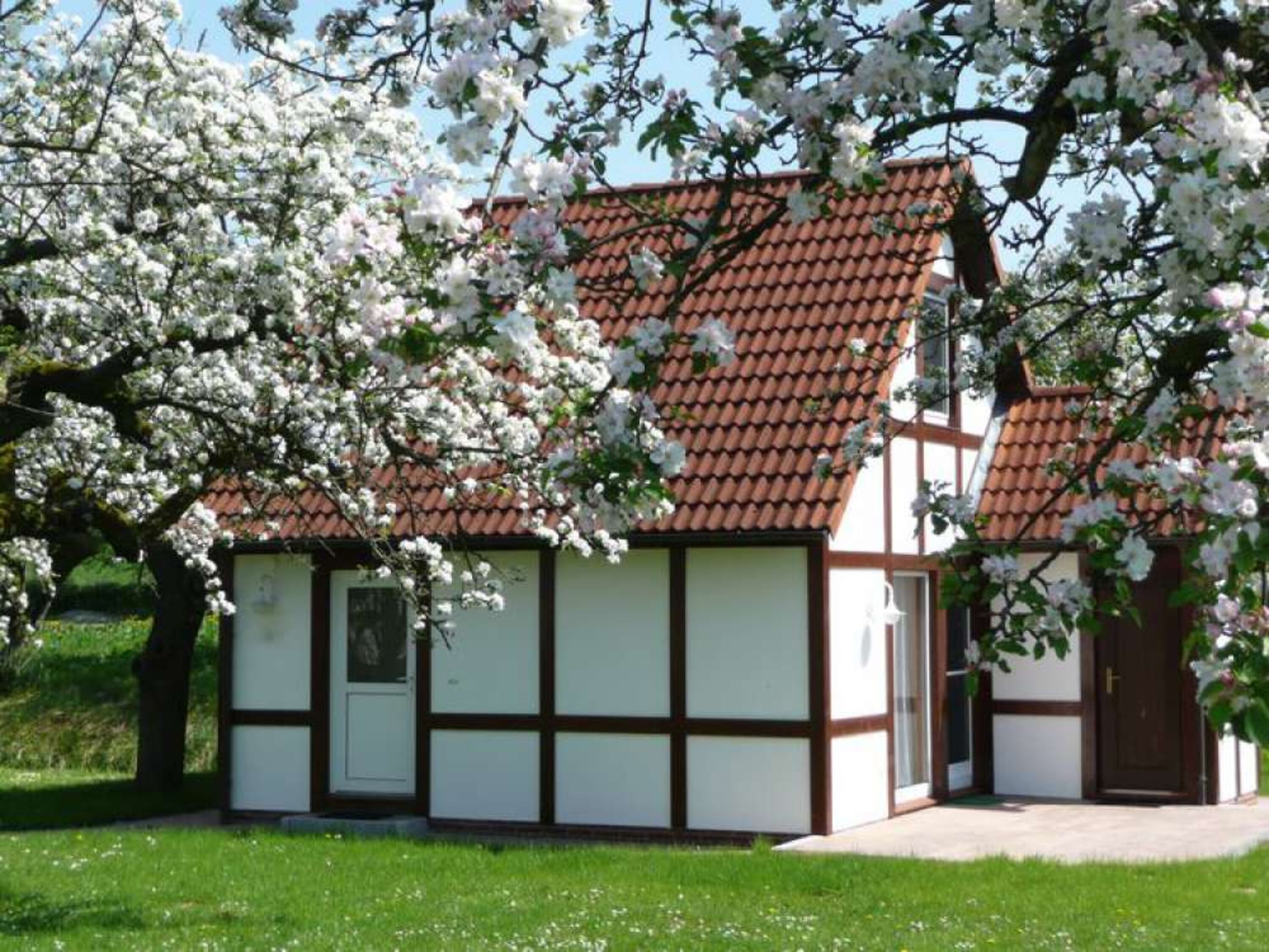 Hausbeispiel Scout 60 