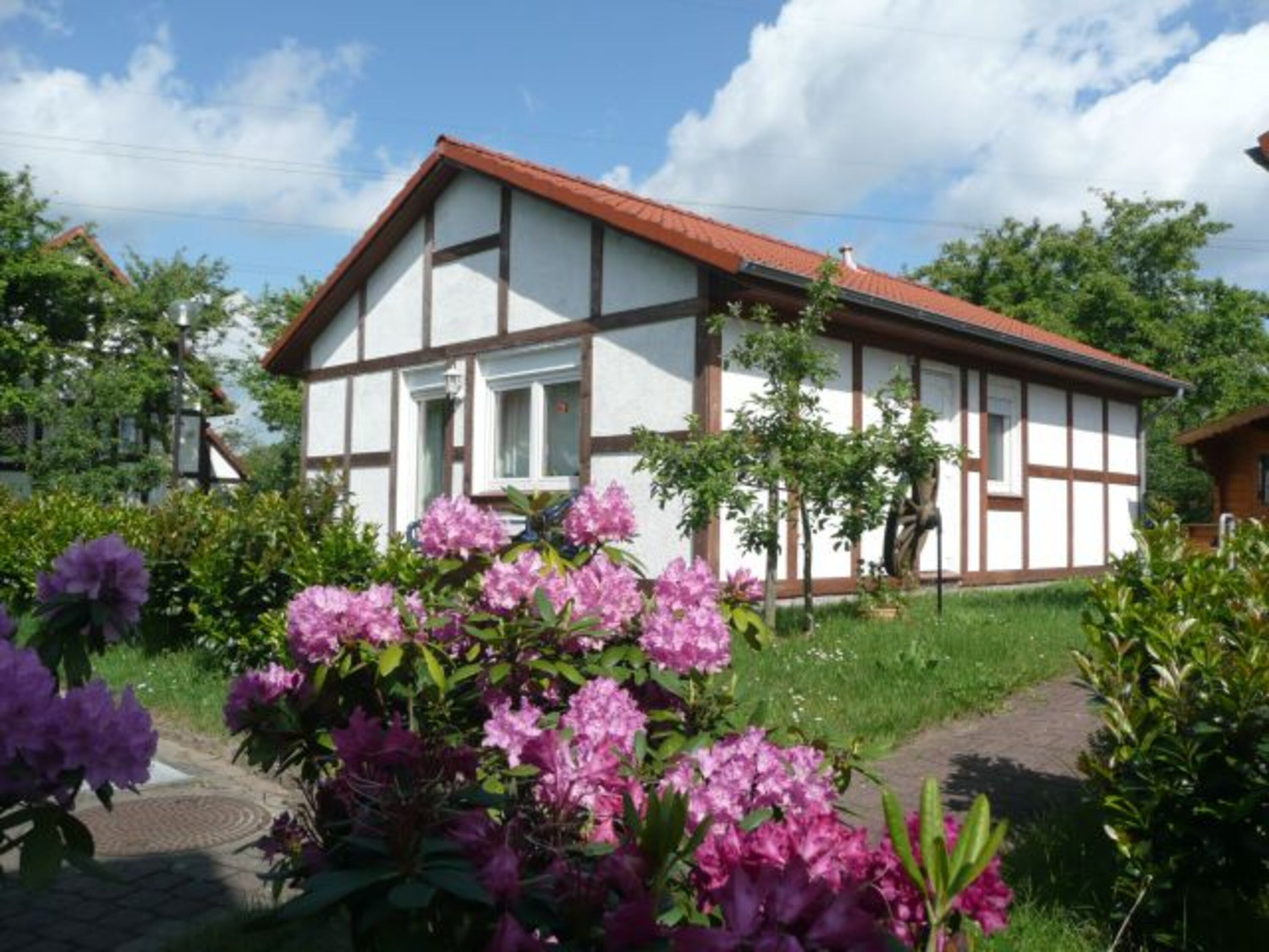 Hausbeispiel Kogge