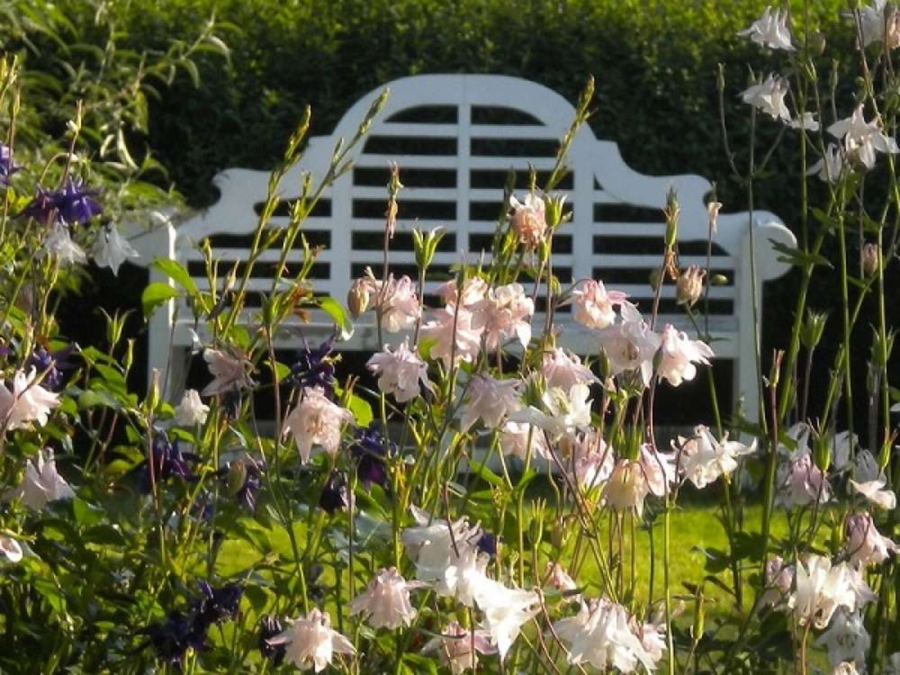 im romantischen Garten