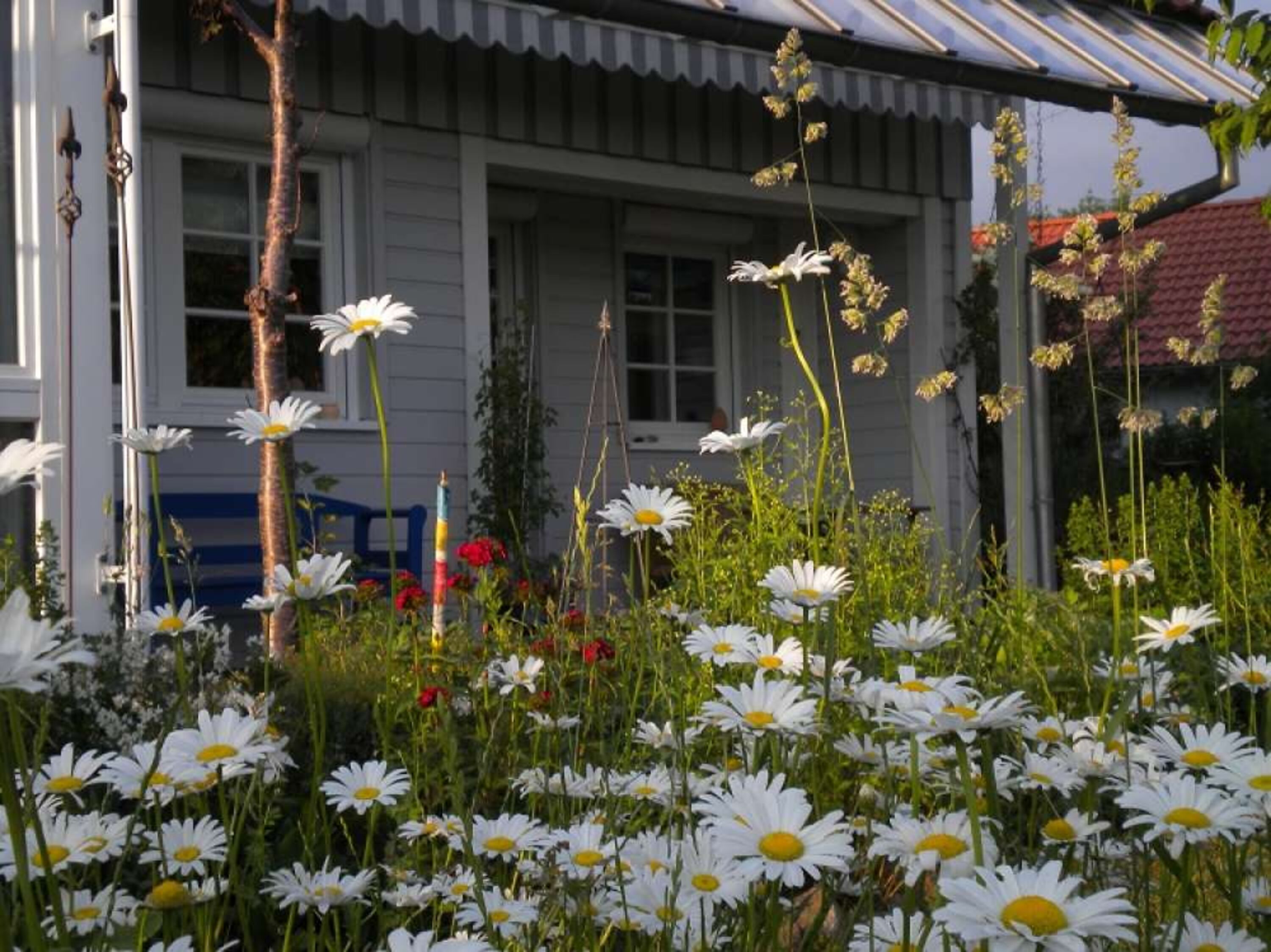 Urlaub im Grünen