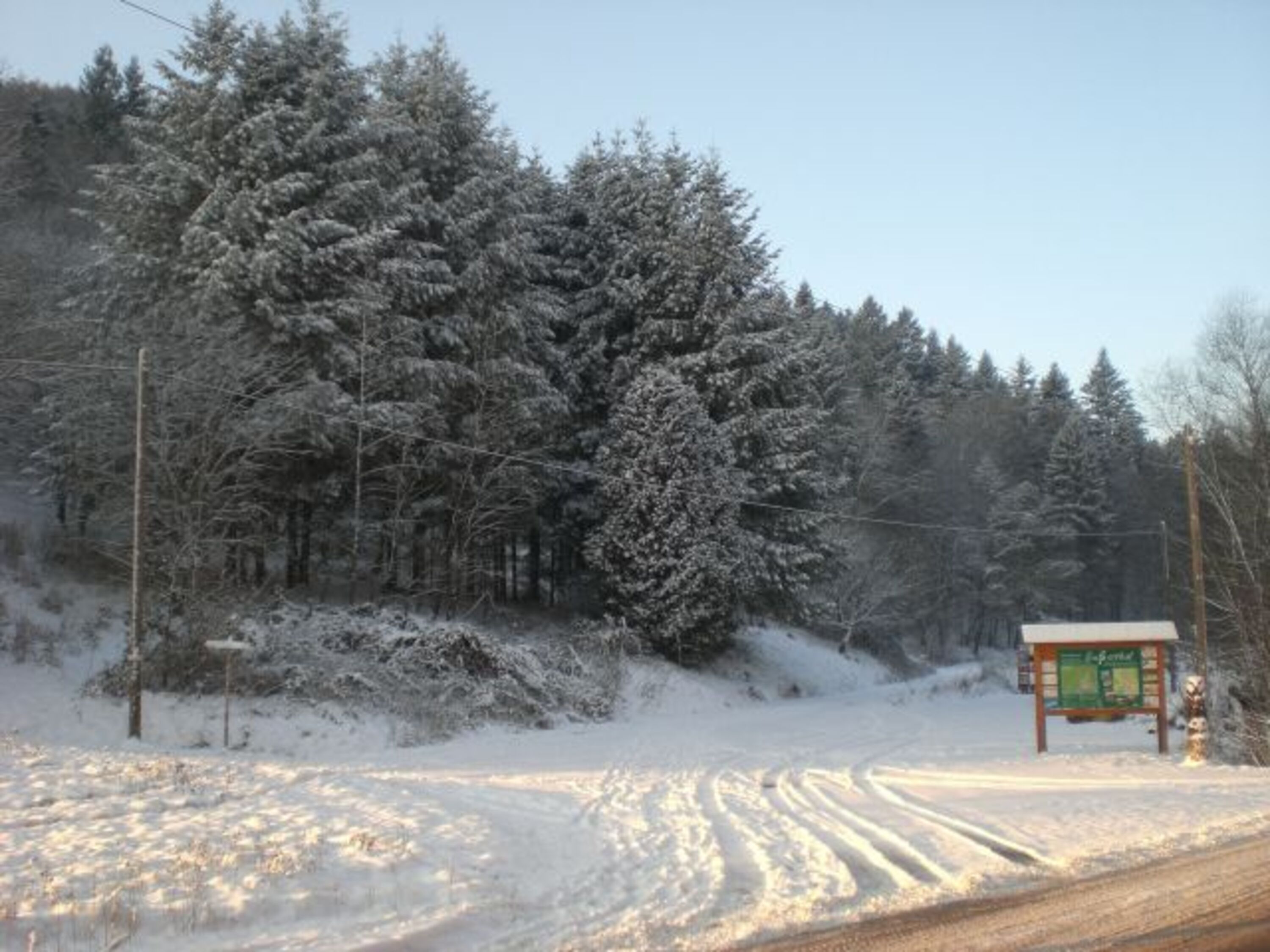 Winter im Pfälzerwald