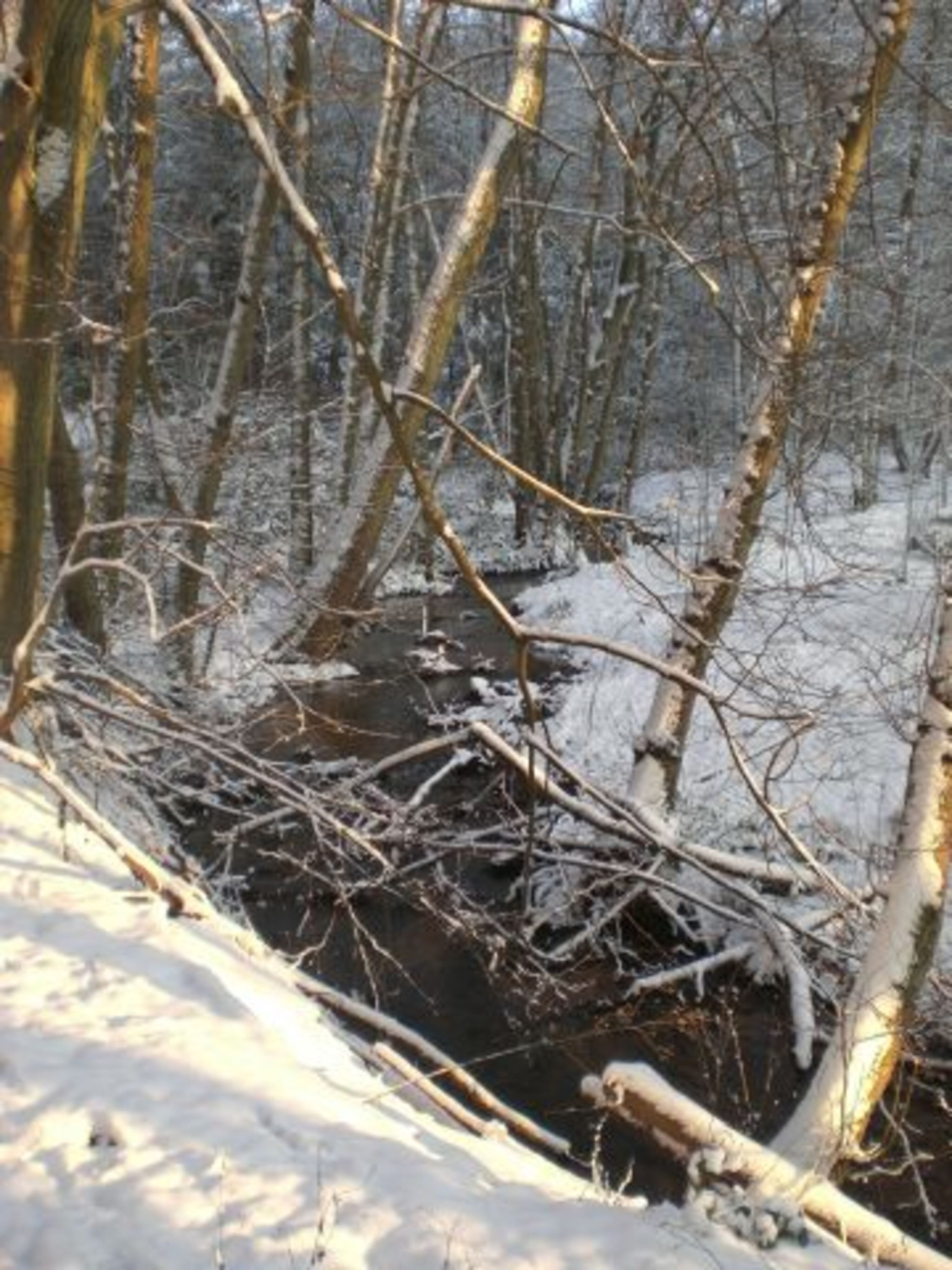 Idyllische Winterlandschaft