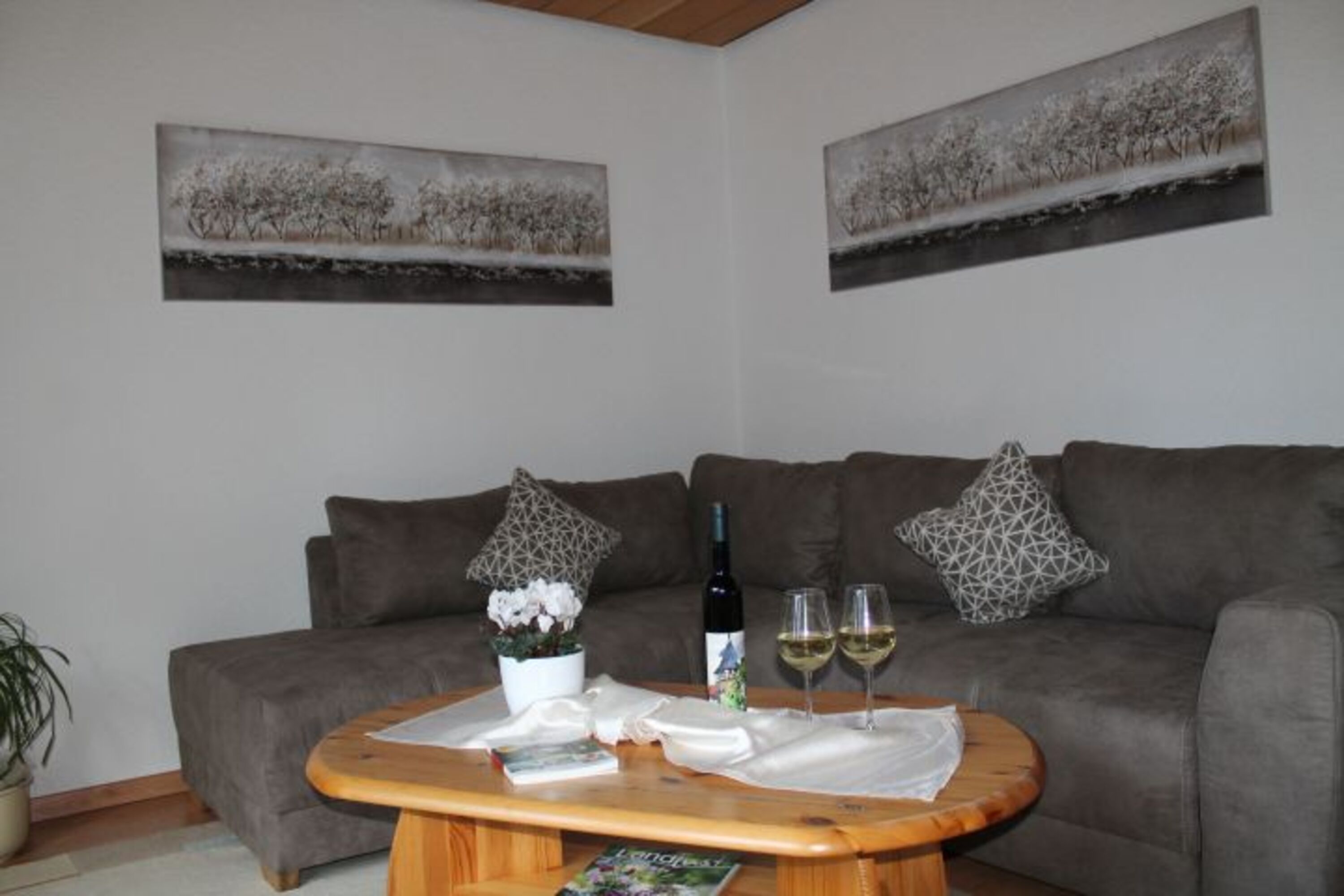Wohnzimmer mit Schlafcouch