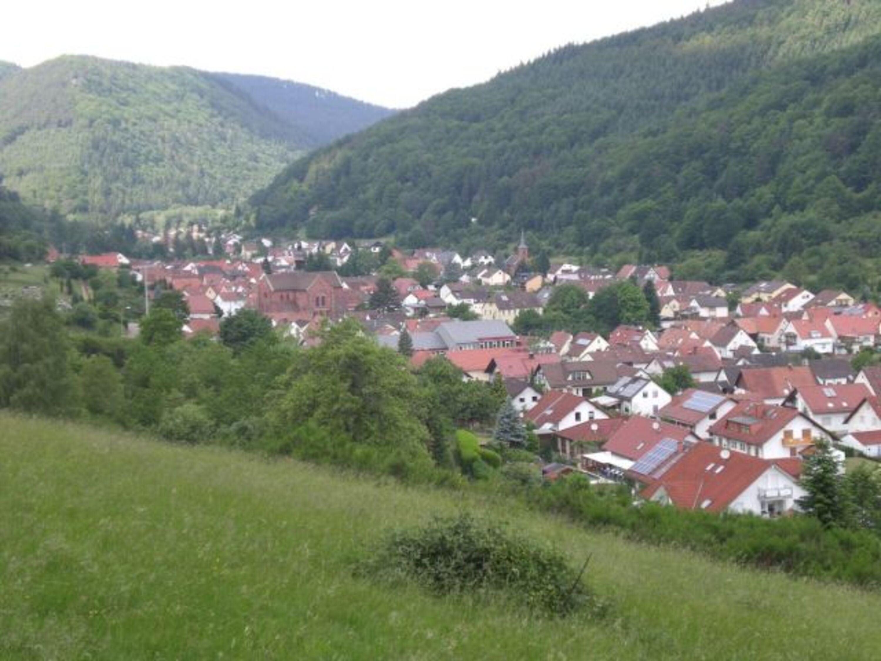 Blick auf Eußerthal