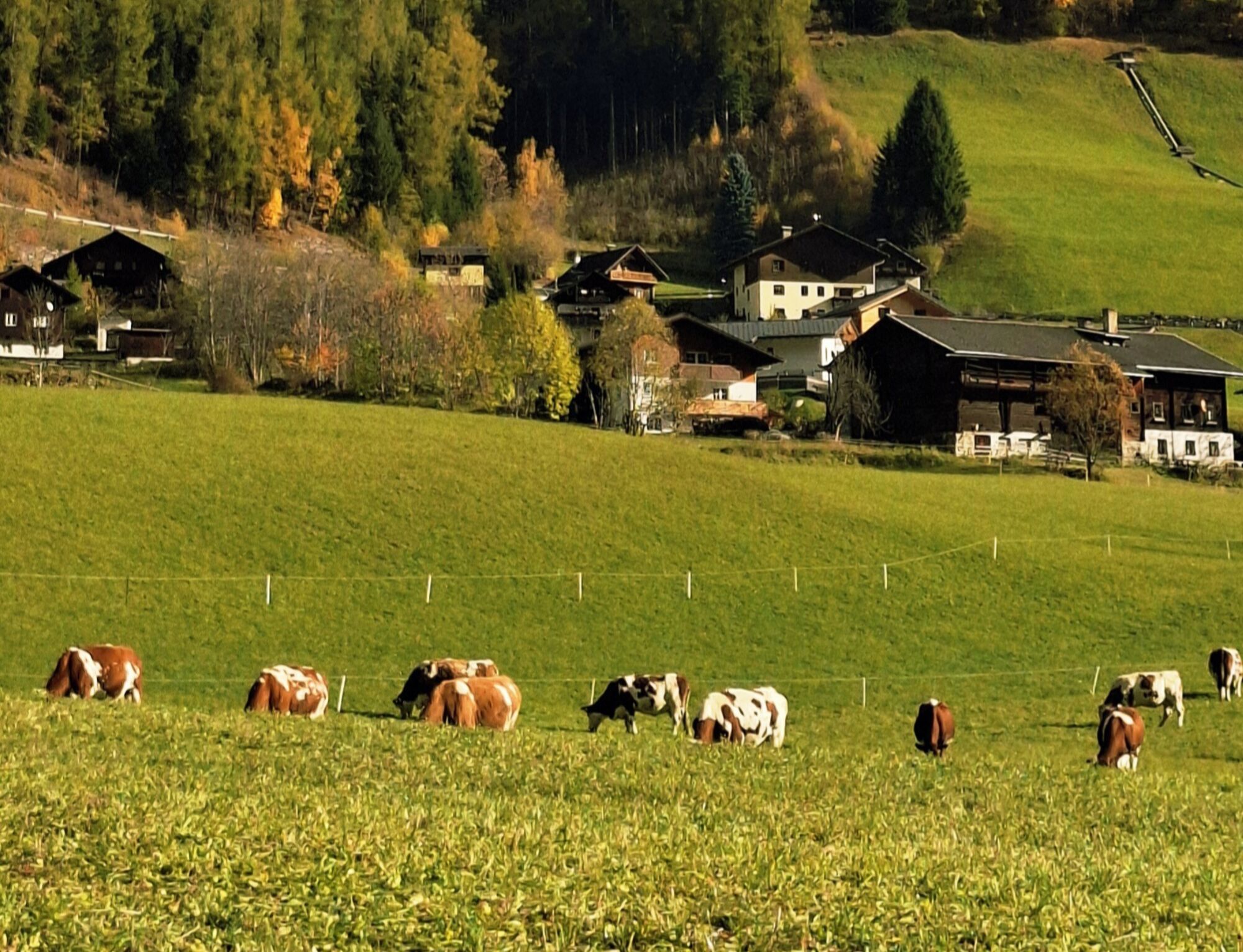 Ferienhaus ID 2586
