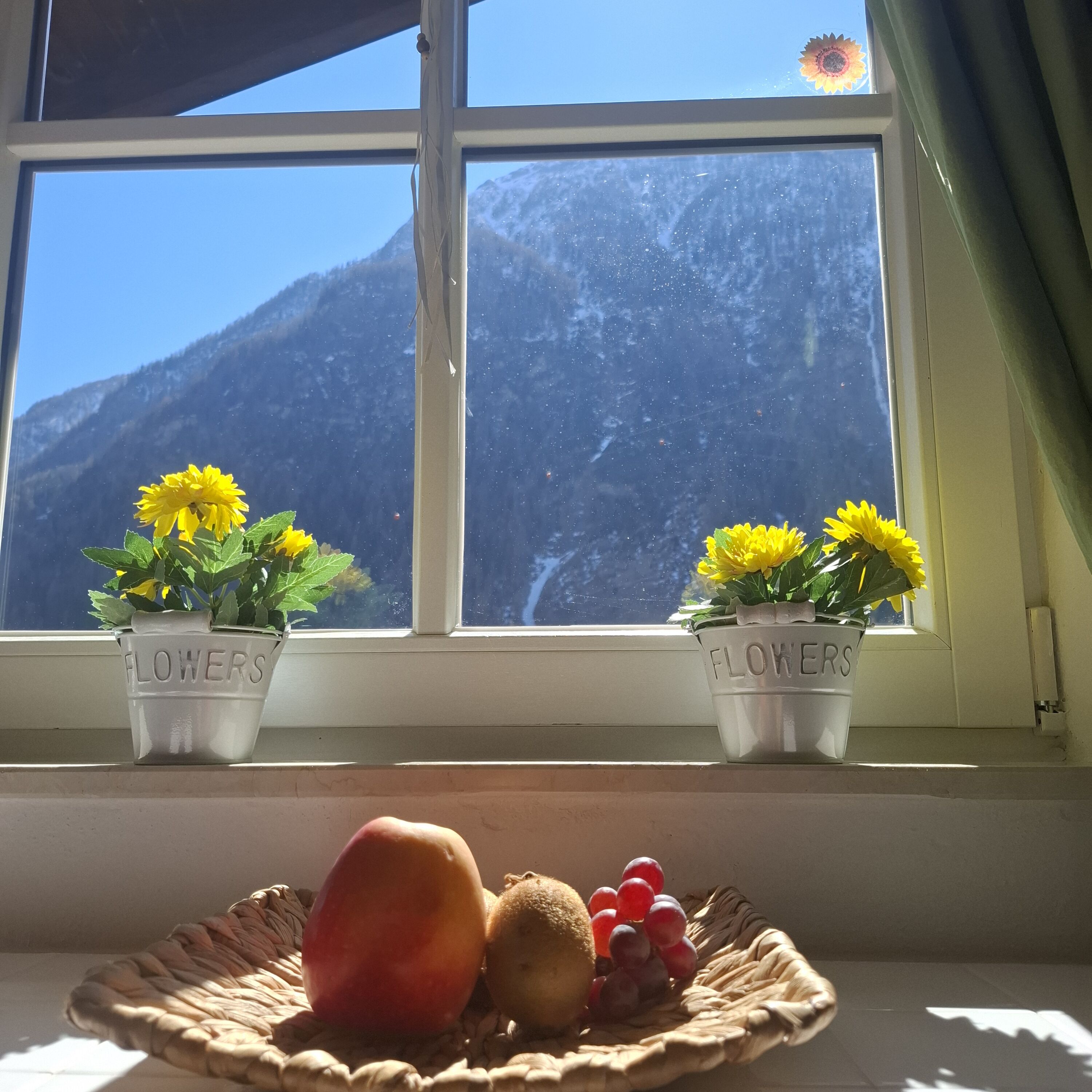 Blick aus der Küche - der perfekte Start in den Tag mit Aussicht auf die Berge und in die Natur.