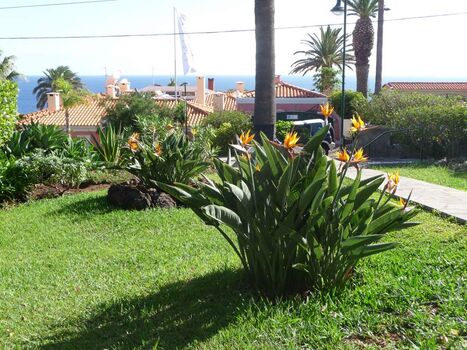 Garten mit Meerblick