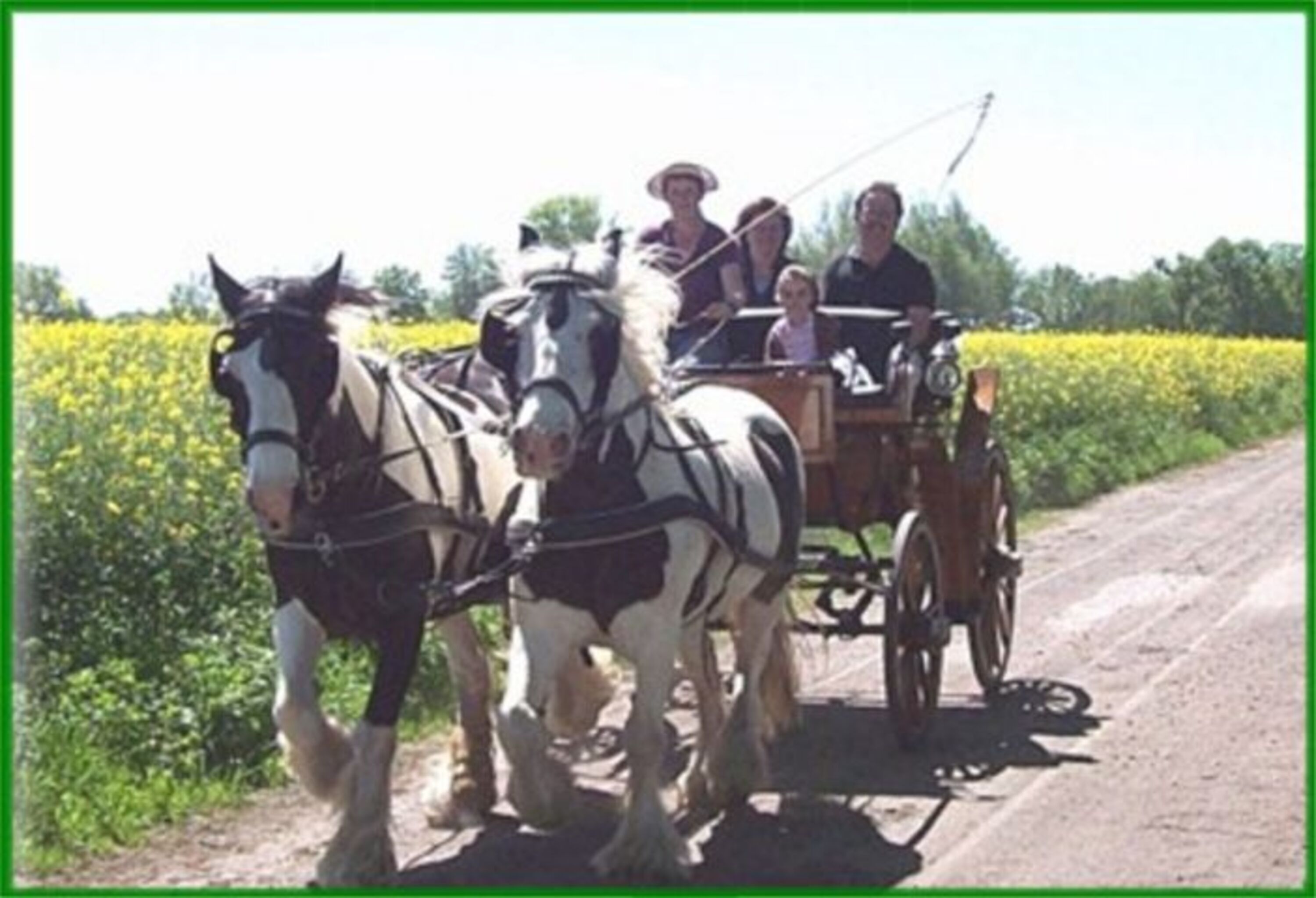 Kutschfahrt mit unseren Pferden