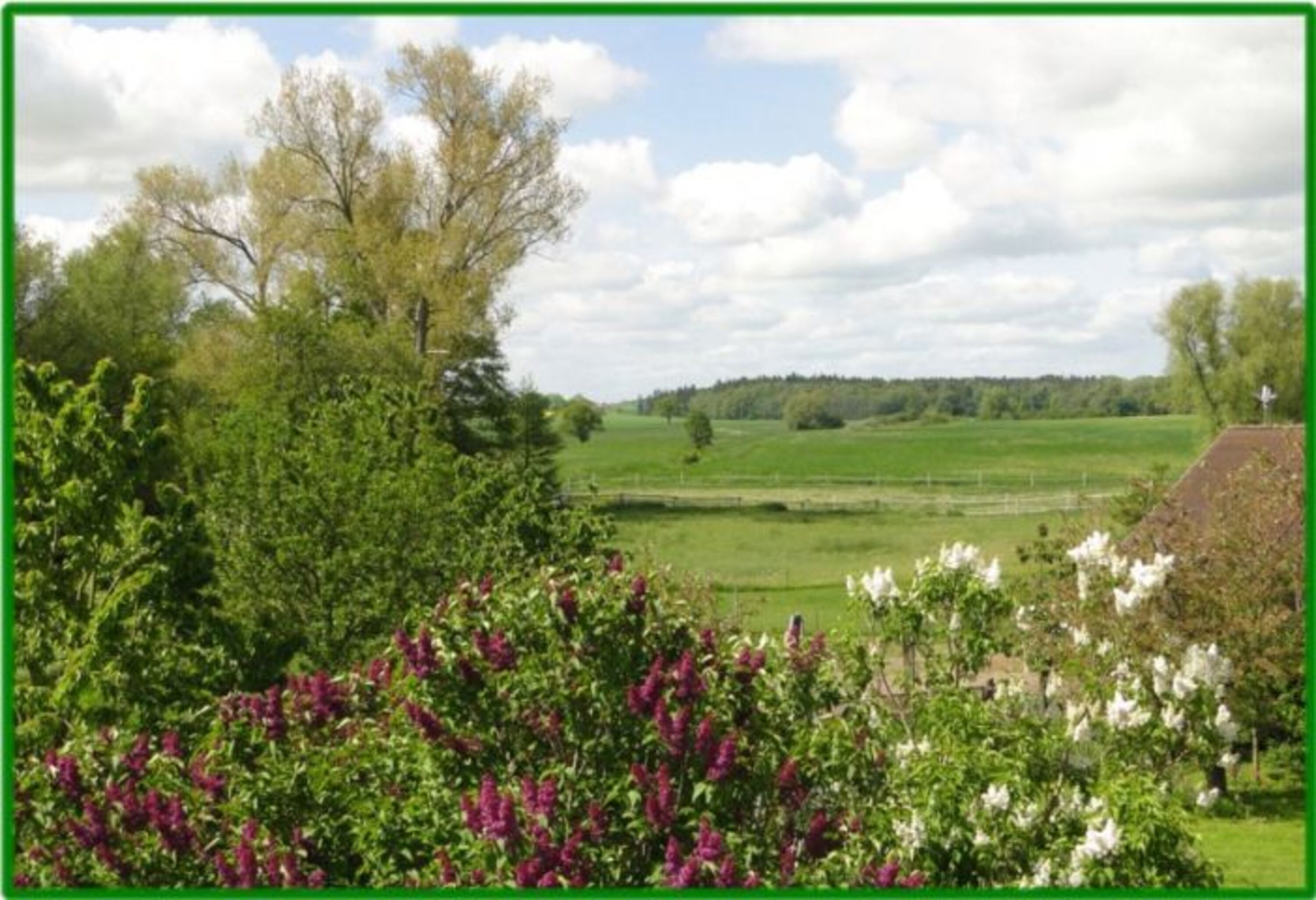 Blick von der Terrasse