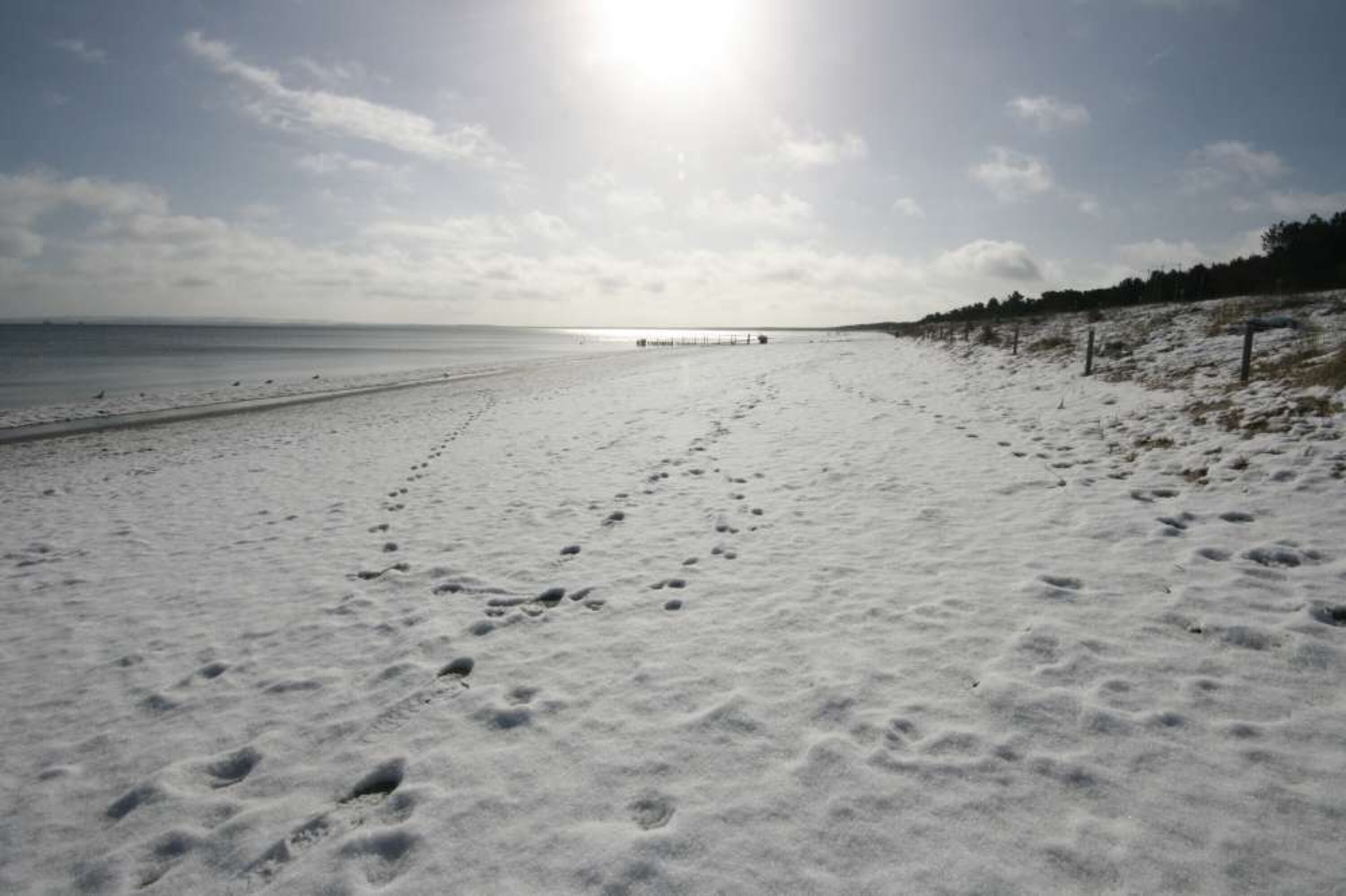 Strand im Winter