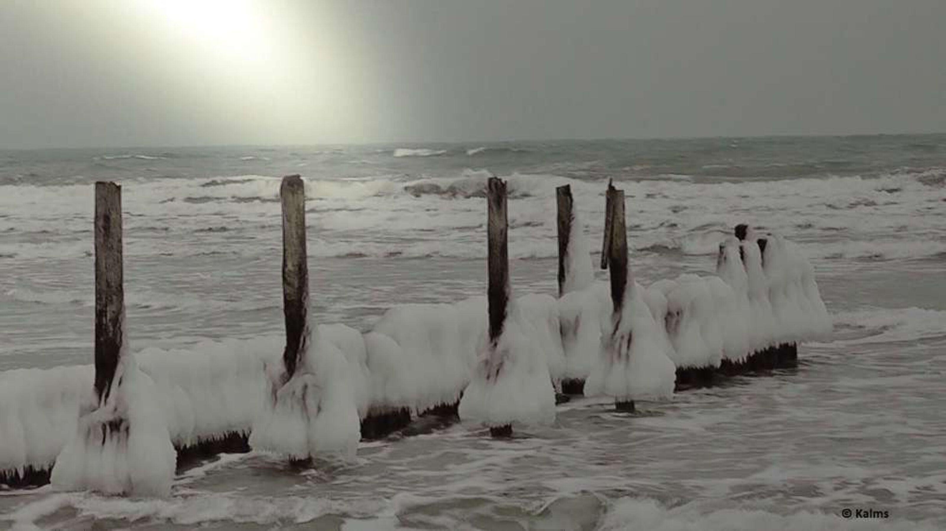 am Strand im Winter