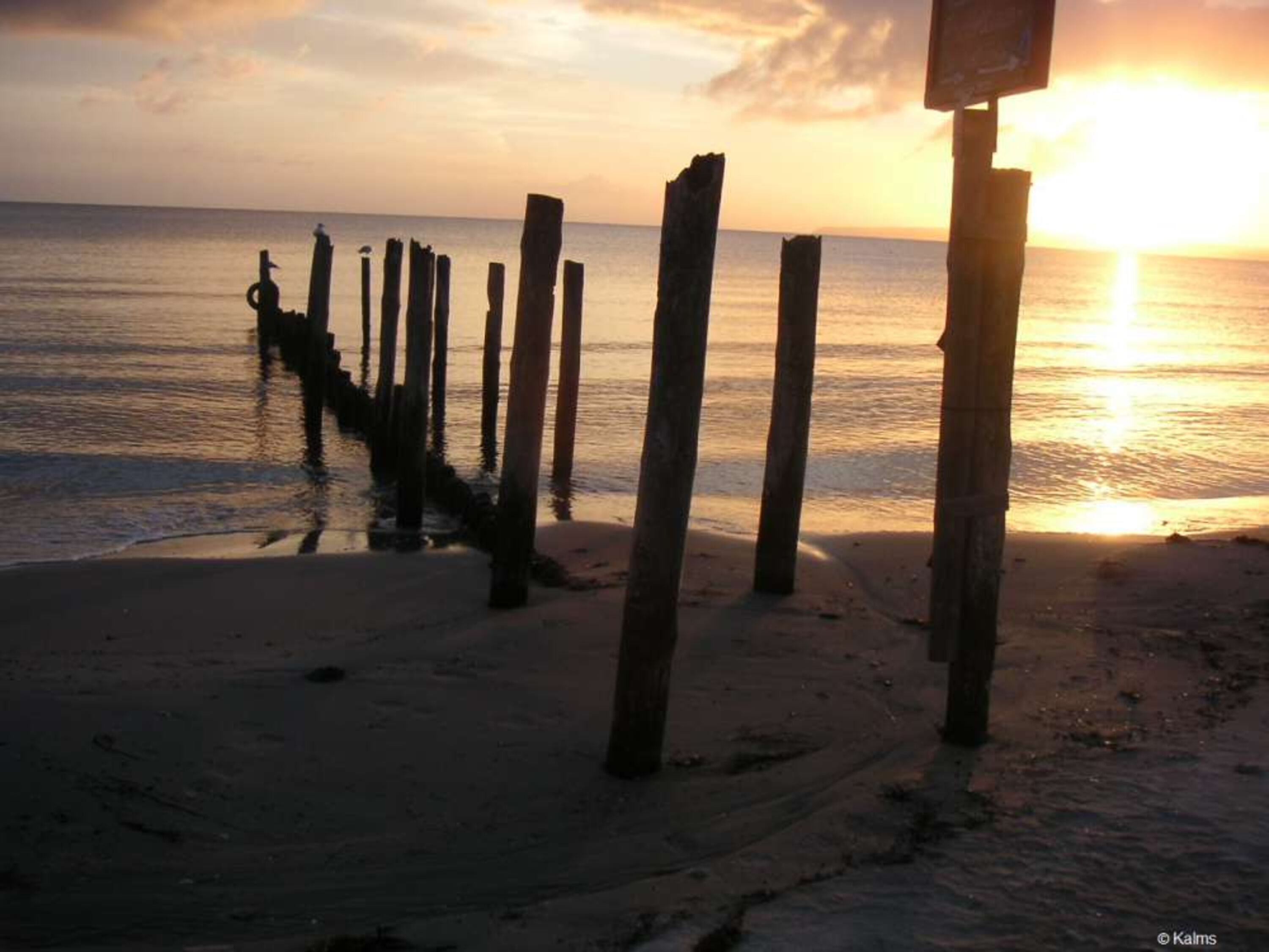 am Strand im Frühjahr